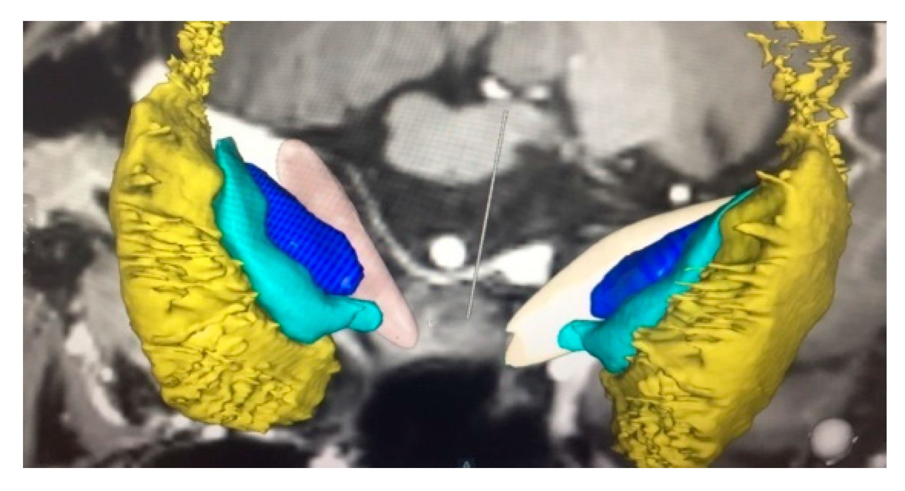 Neurolint 13 00037 g002
