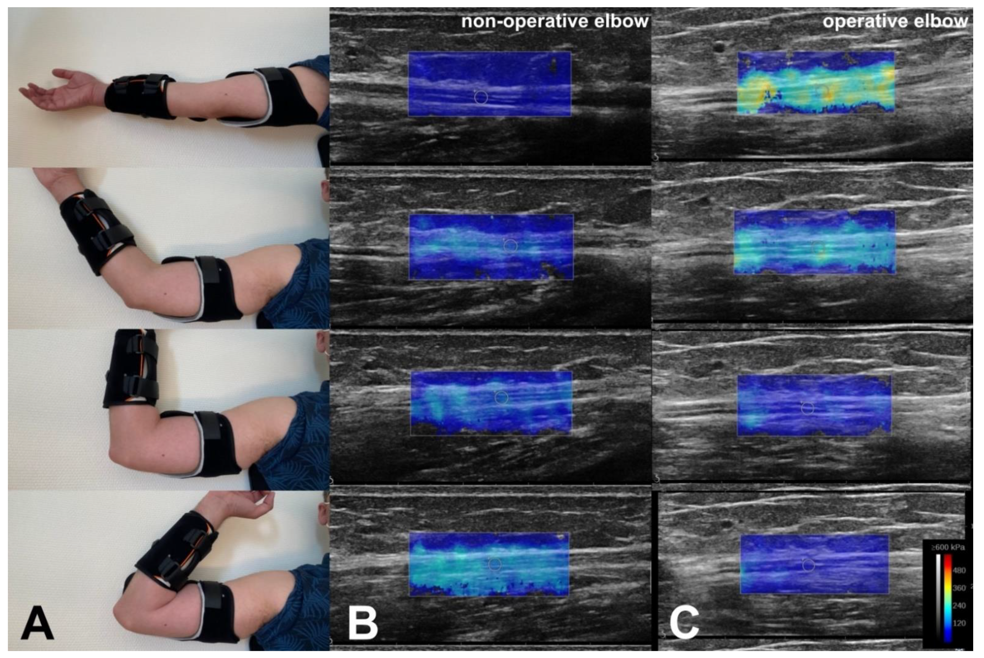 Neurolint 13 00046 g002