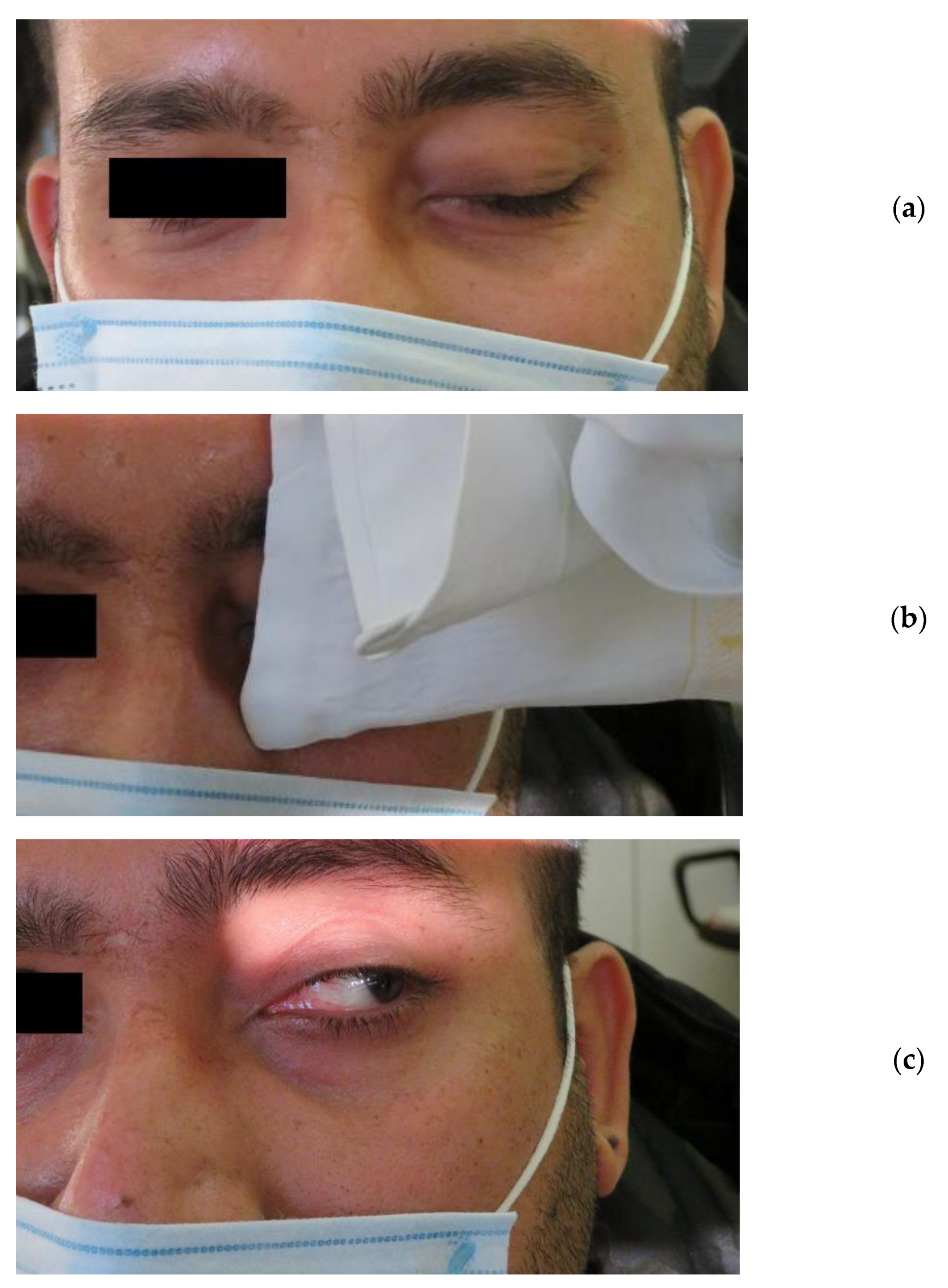 Neurolint 13 00050 g001