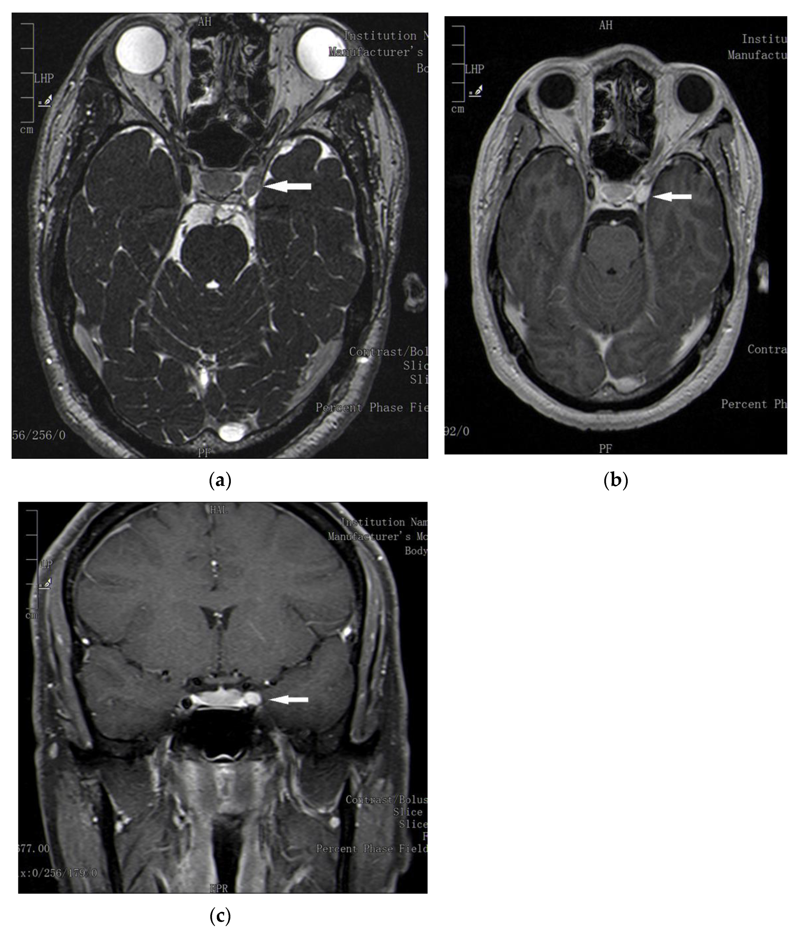 Neurolint 13 00050 g002