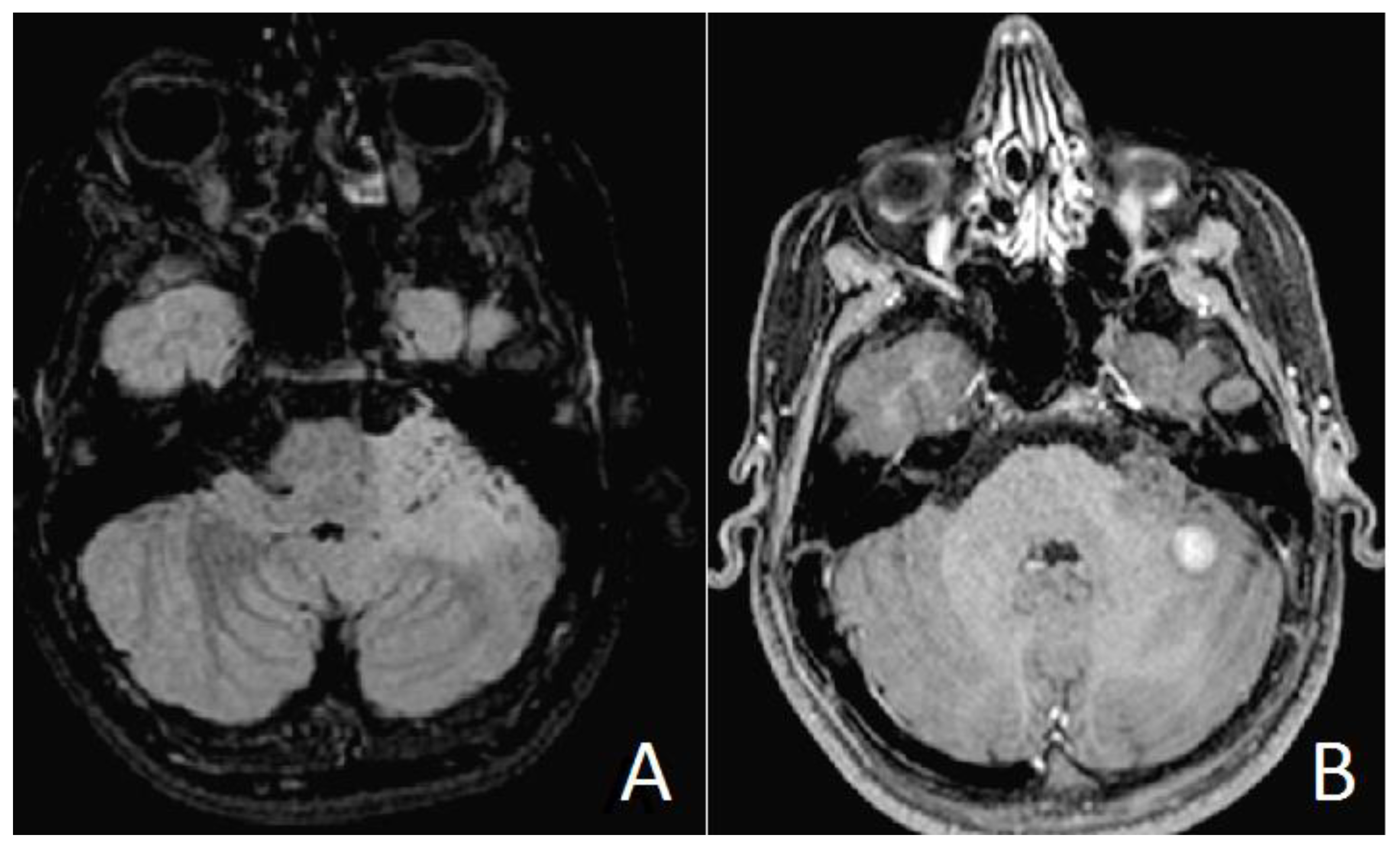 Neurolint 13 00053 g001