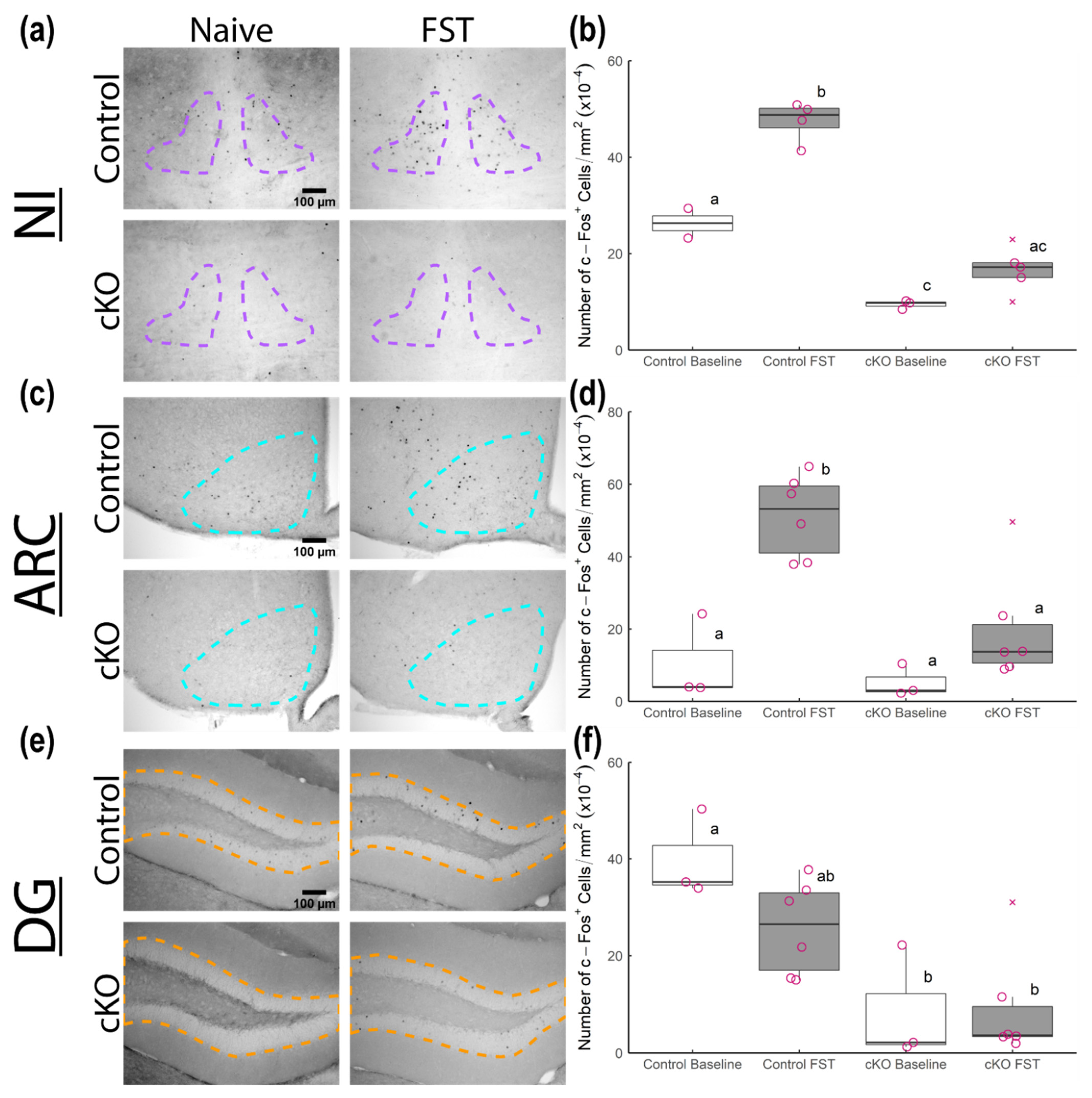 Neurolint 13 00054 g005