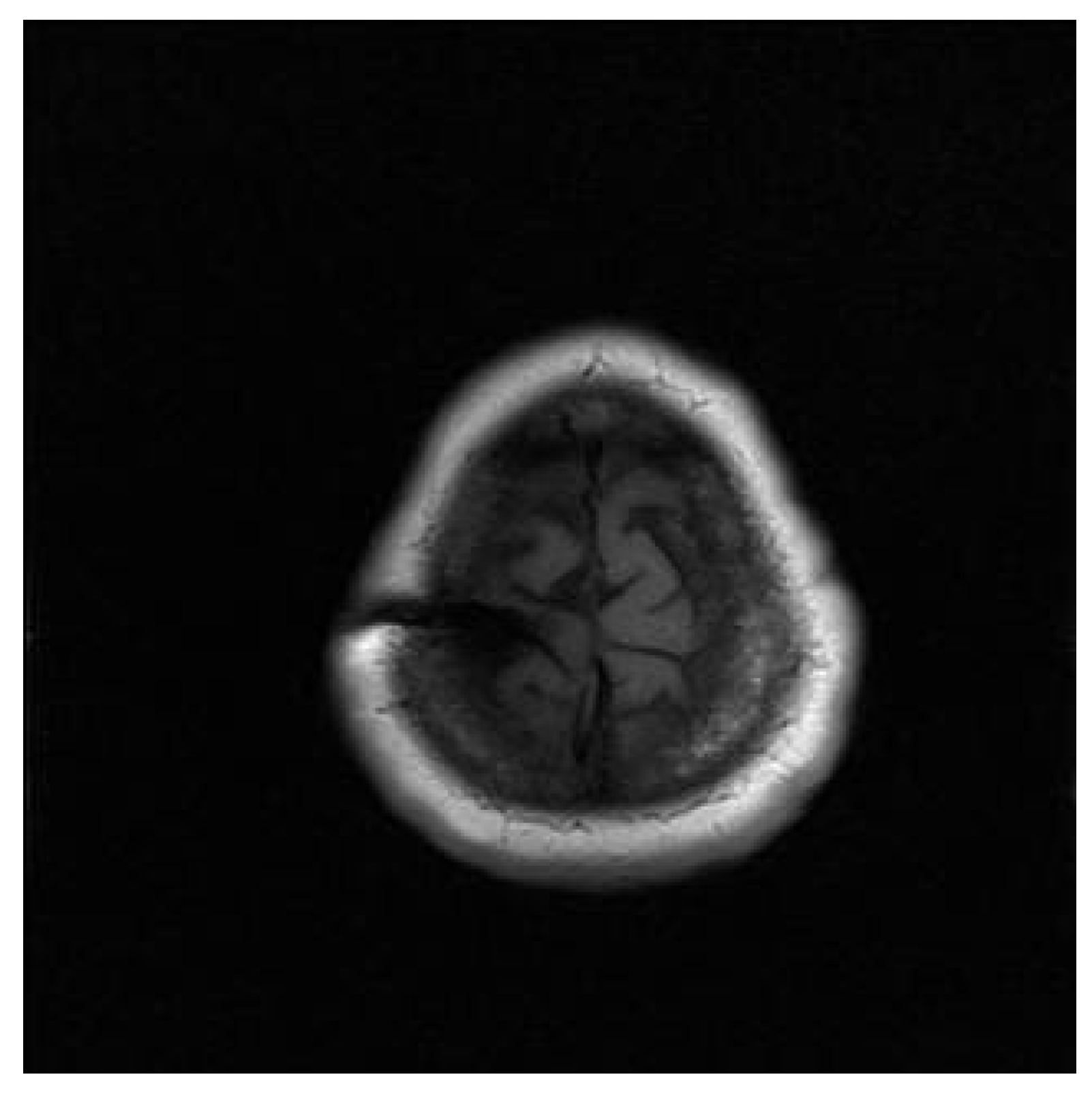 Neurolint 13 00058 g001