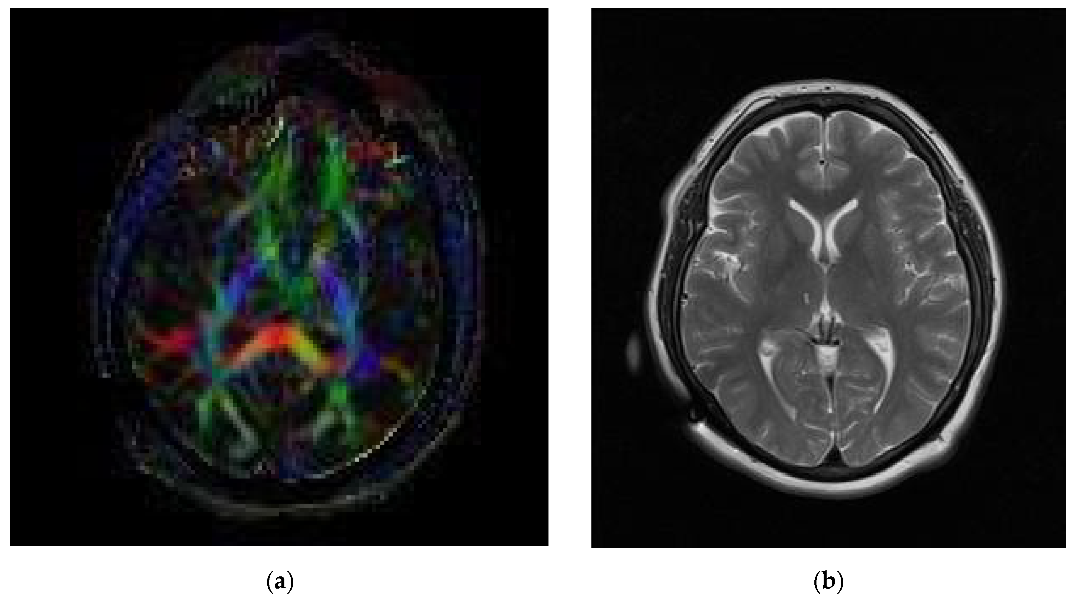 Neurolint 13 00058 g002