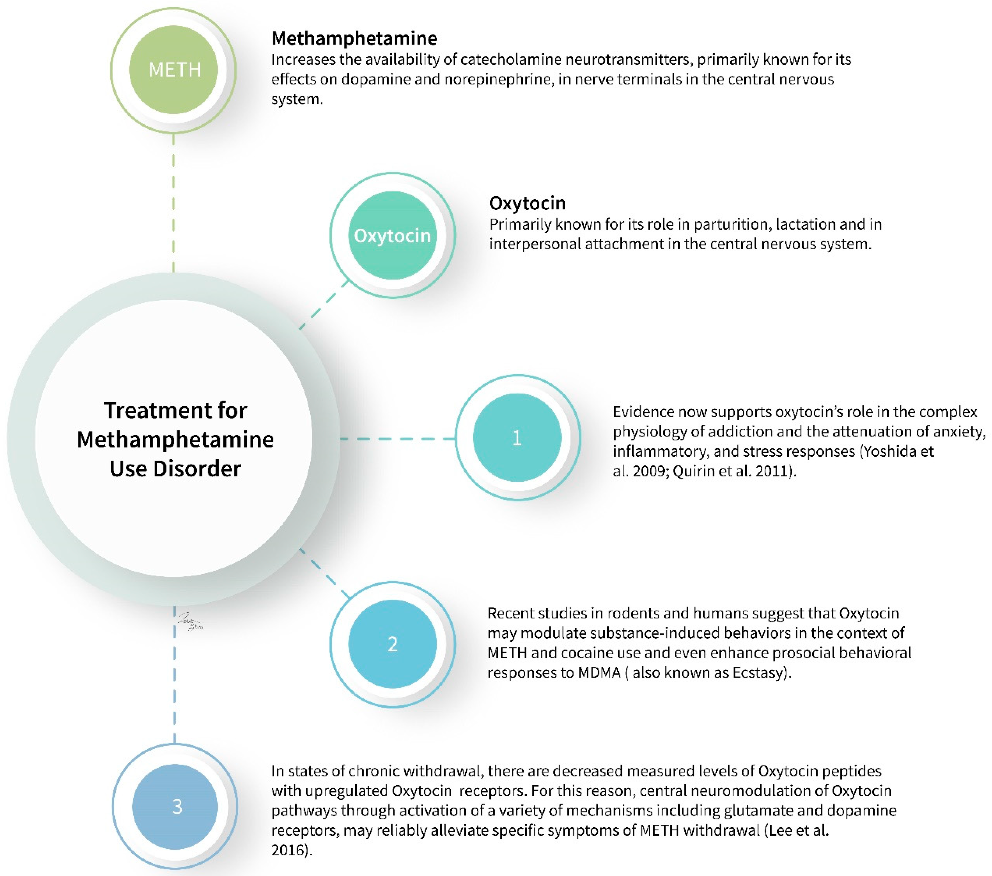 Neurolint 14 00015 g001
