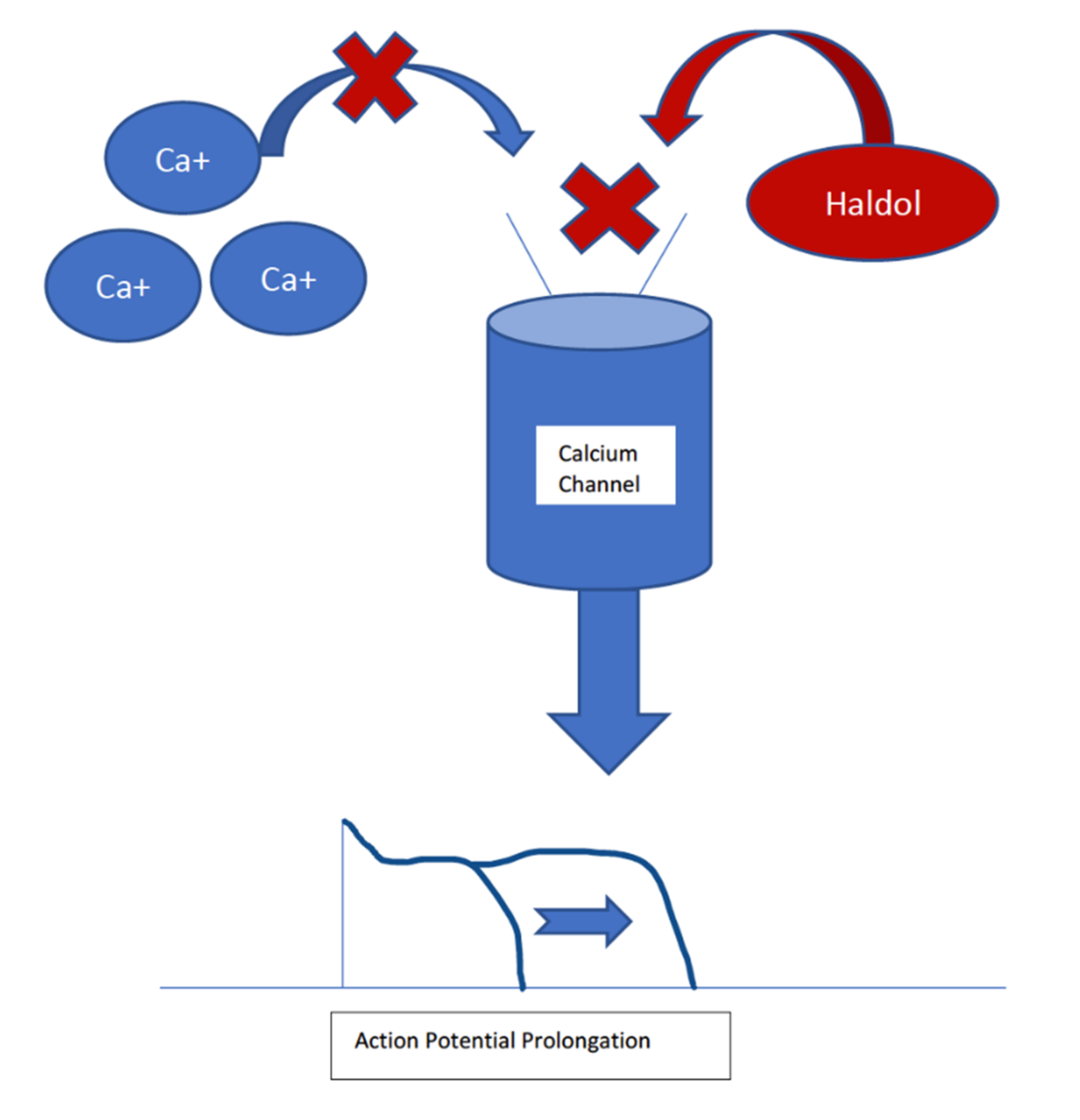 Neurolint 14 00024 g001