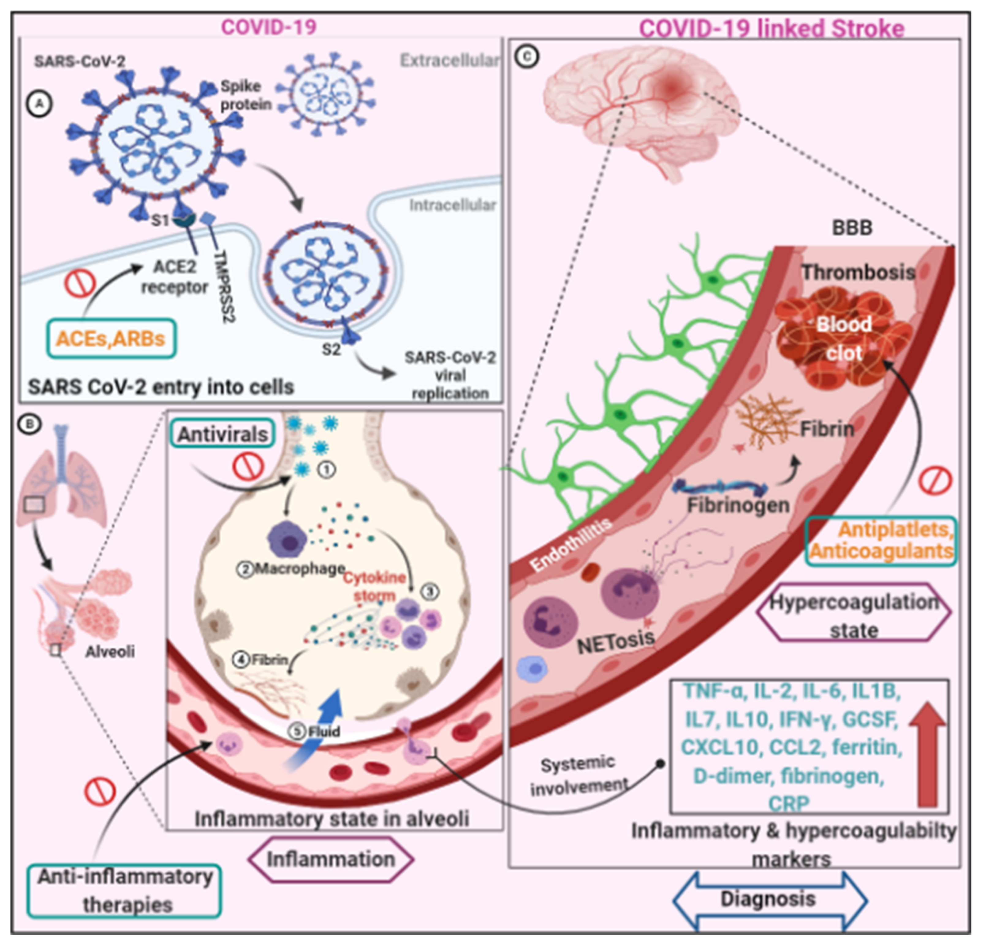 Neurolint 14 00032 g001