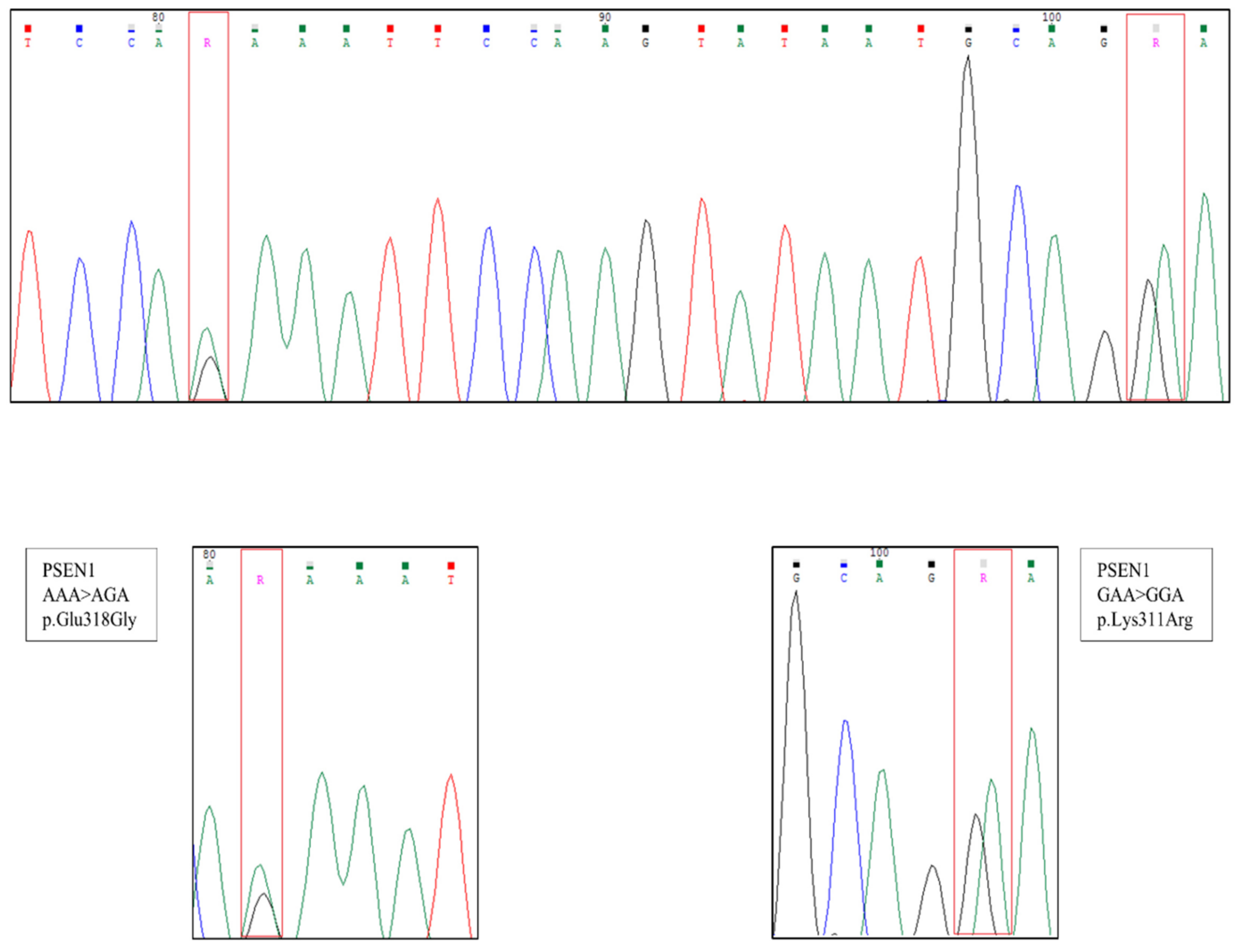 Neurolint 14 00034 g001