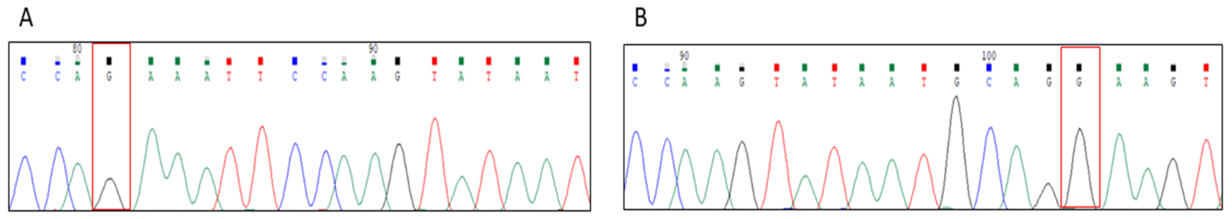 Neurolint 14 00034 g002