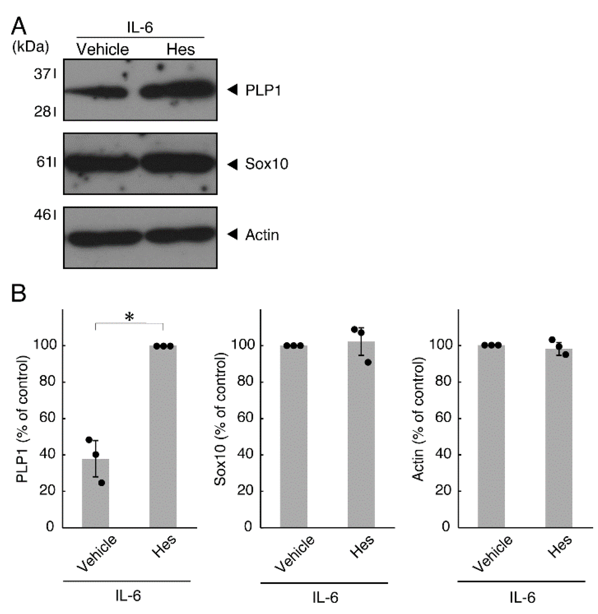 Neurolint 14 00039 g009
