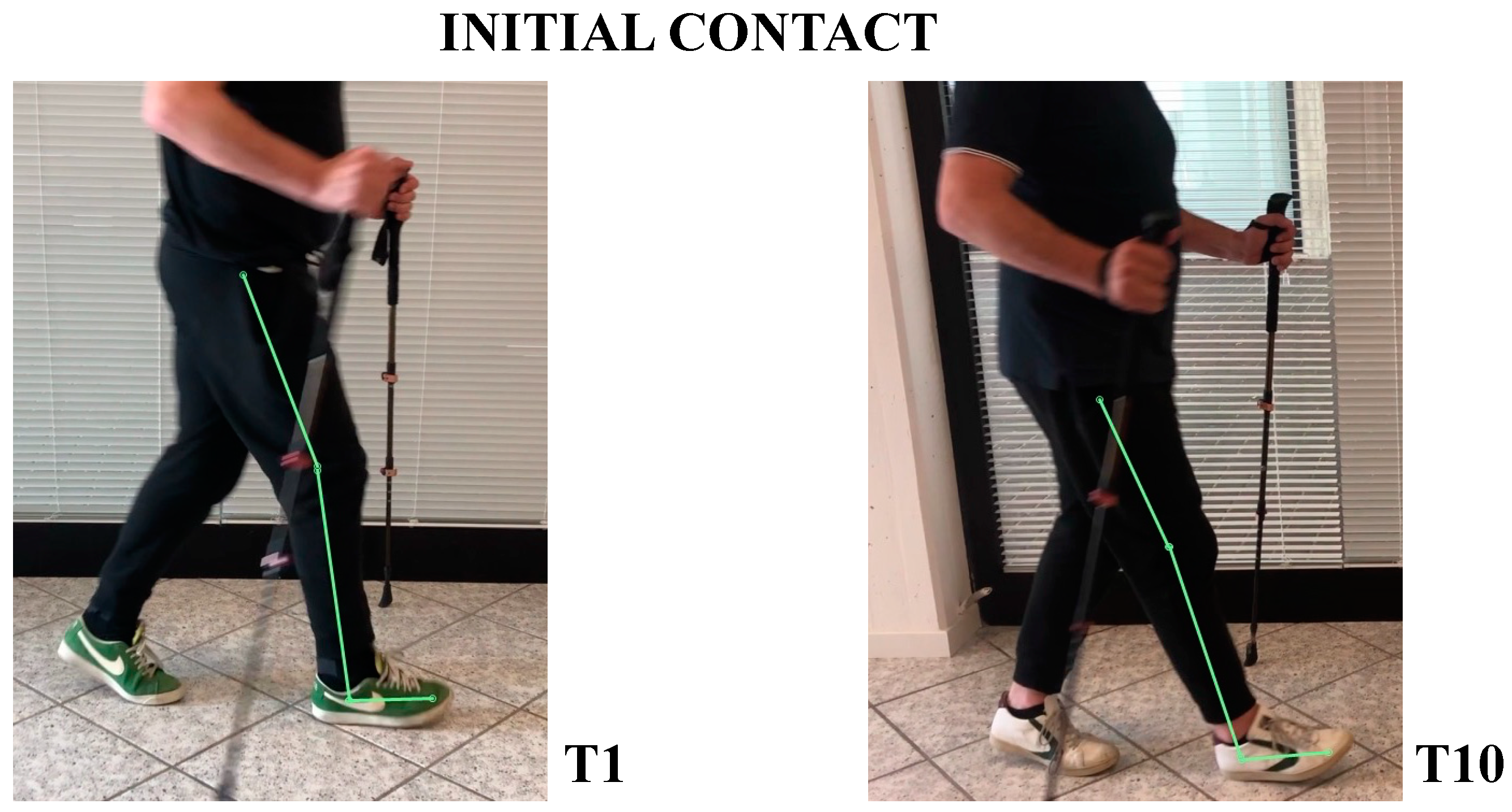 Neurolint 14 00045 g005