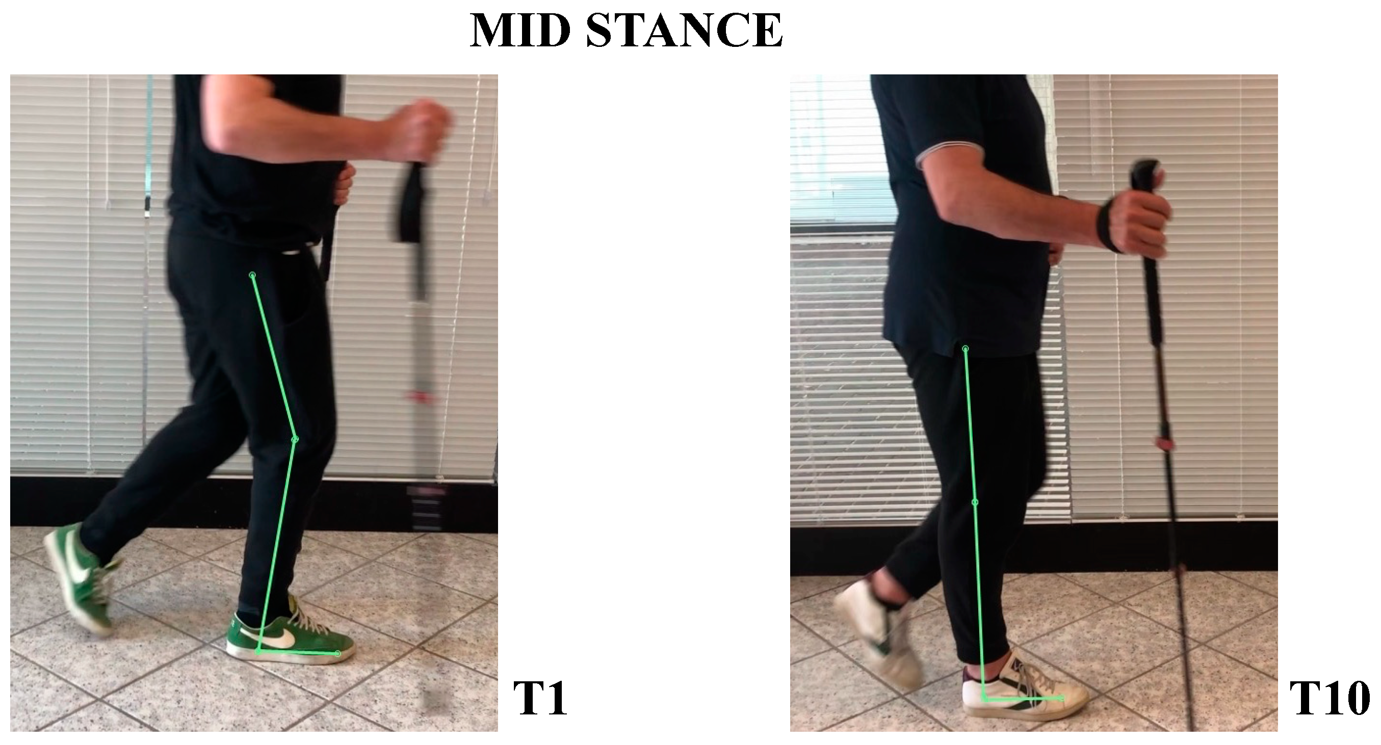 Neurolint 14 00045 g006