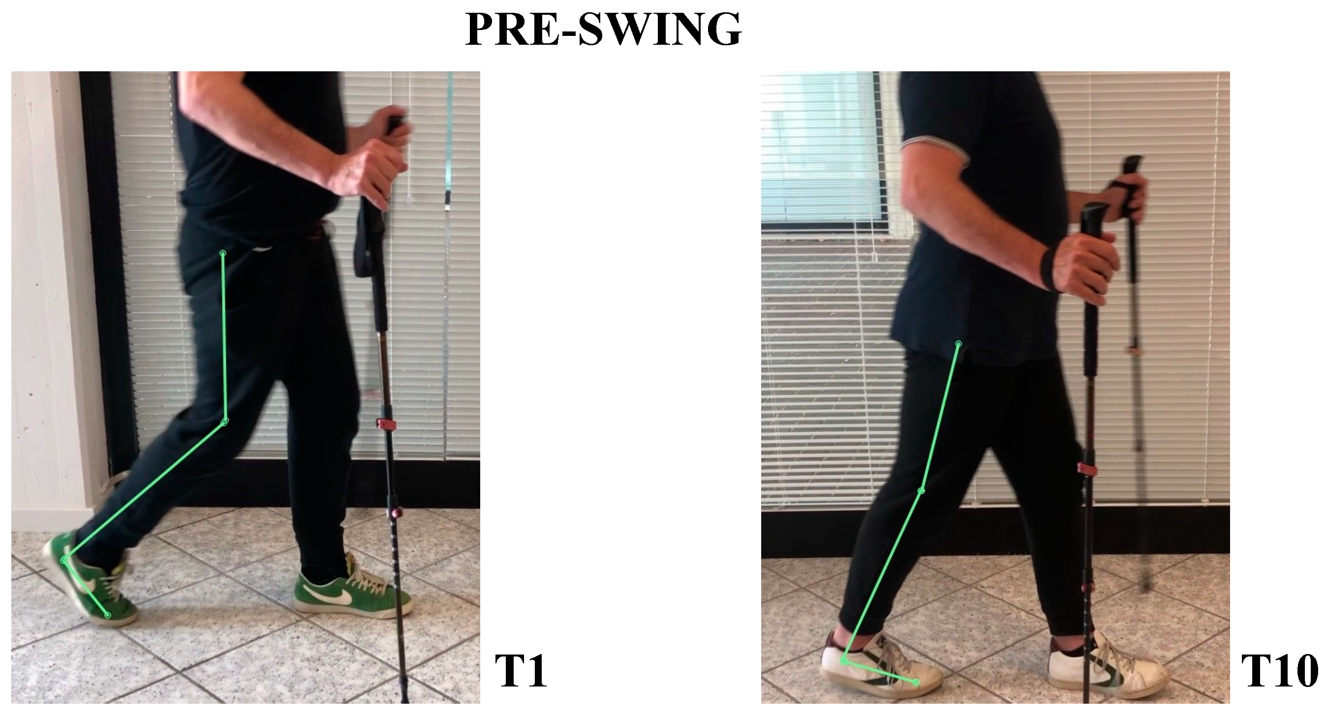 Neurolint 14 00045 g007