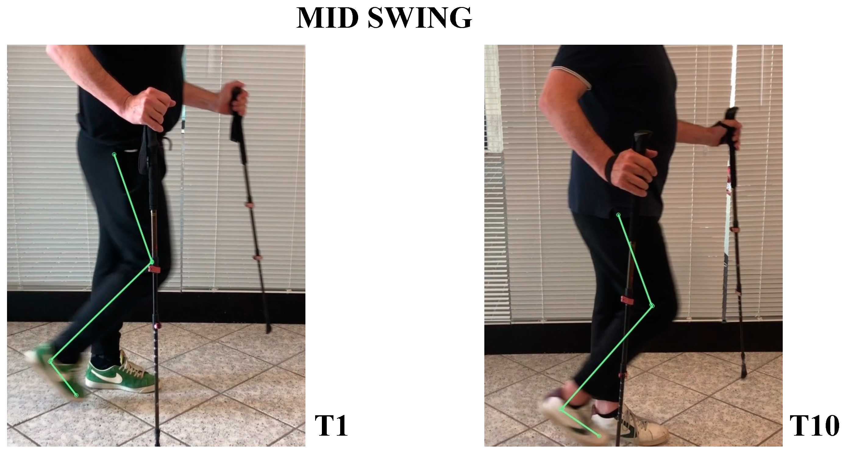 Neurolint 14 00045 g008