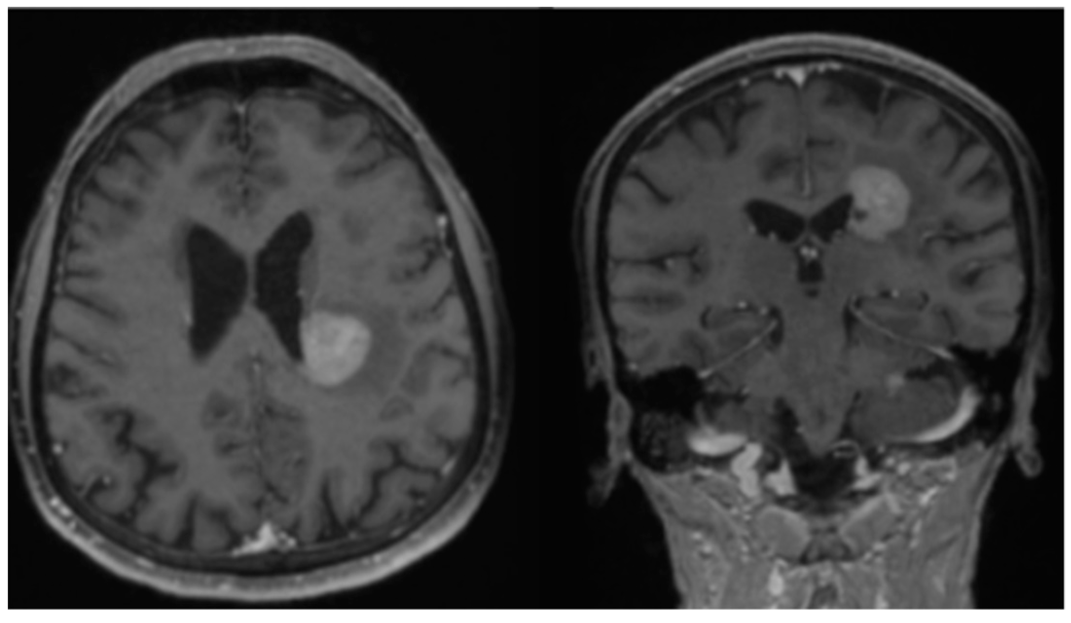 Neurolint 14 00046 g001