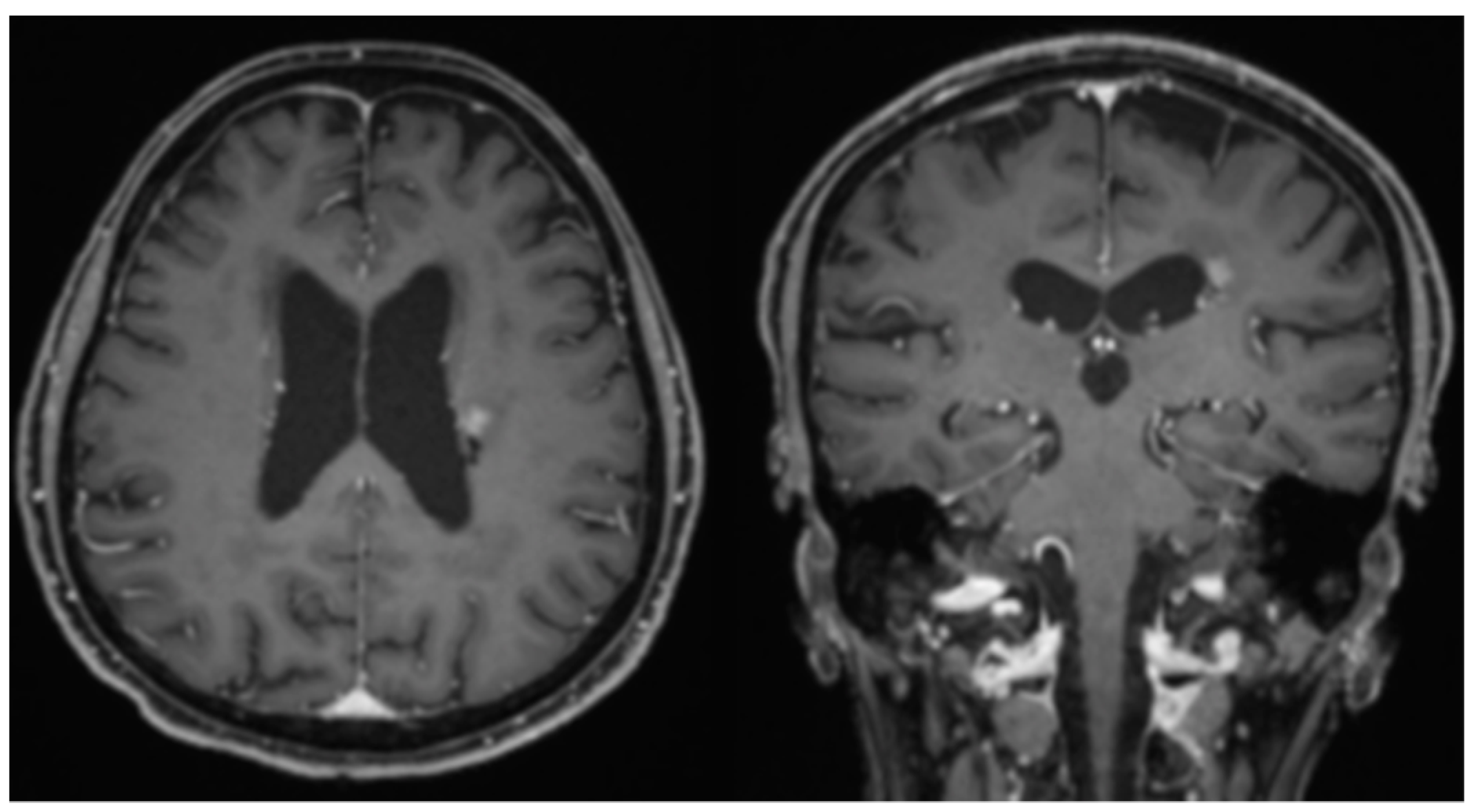 Neurolint 14 00046 g002