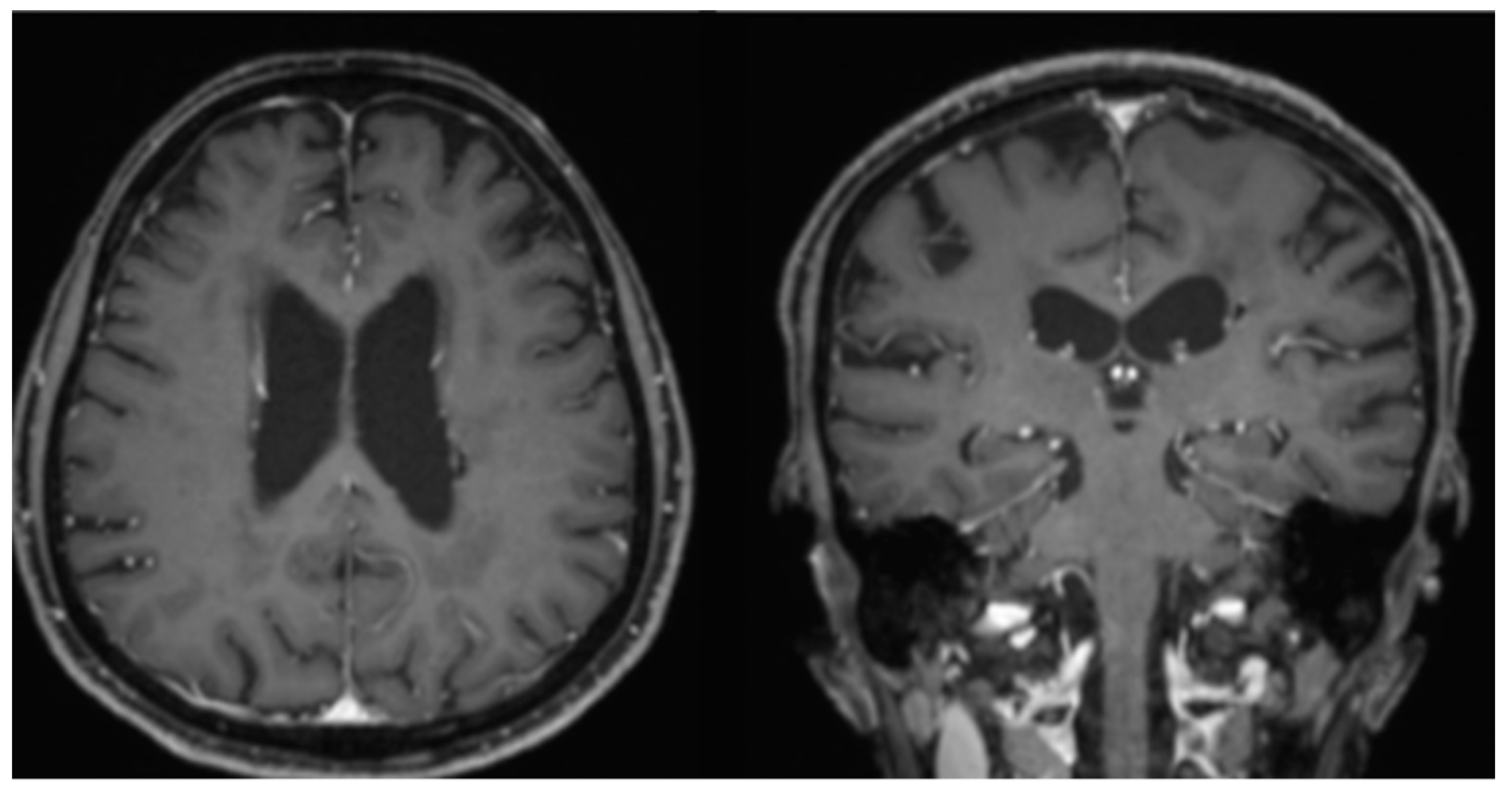 Neurolint 14 00046 g003