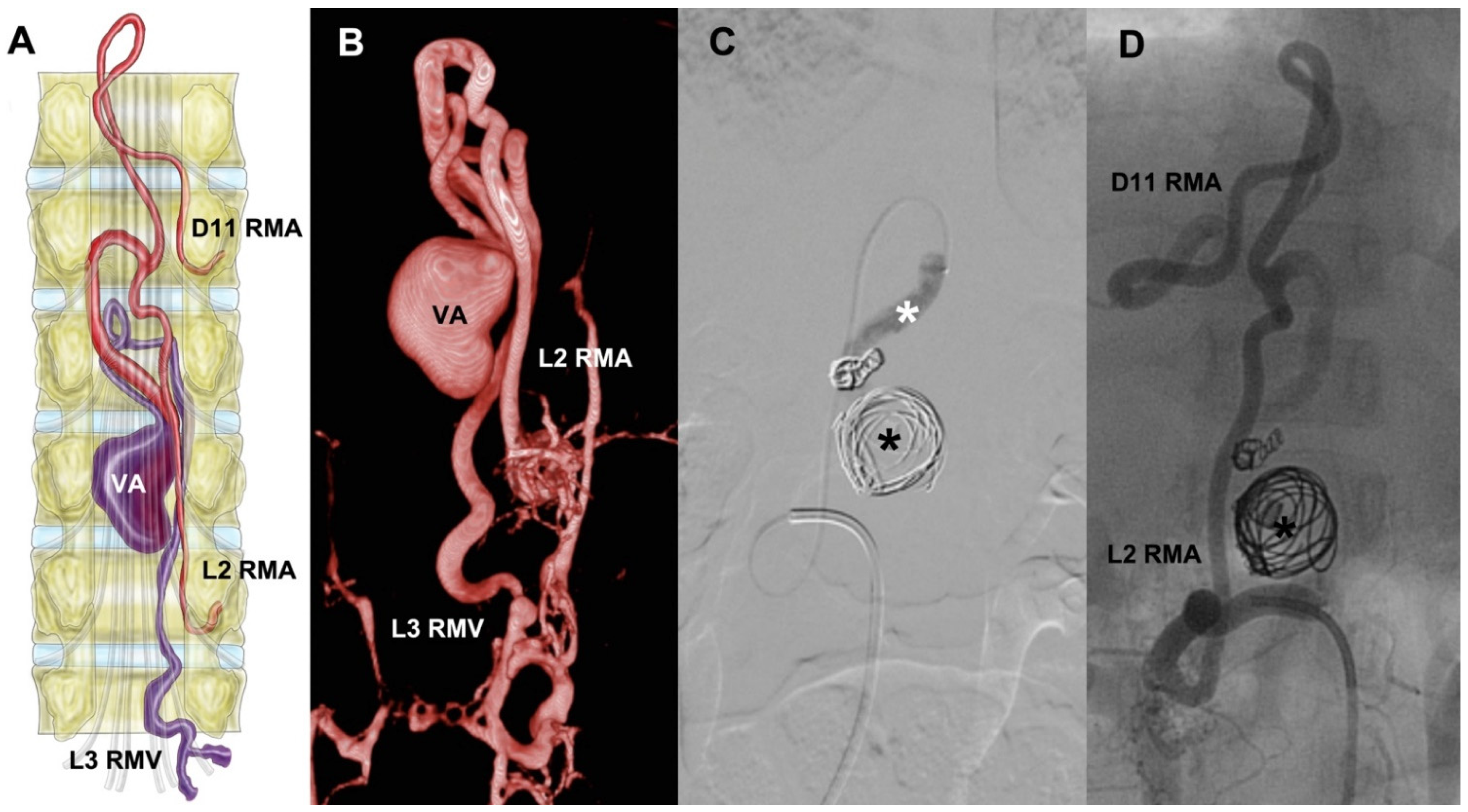 Neurolint 14 00047 g001