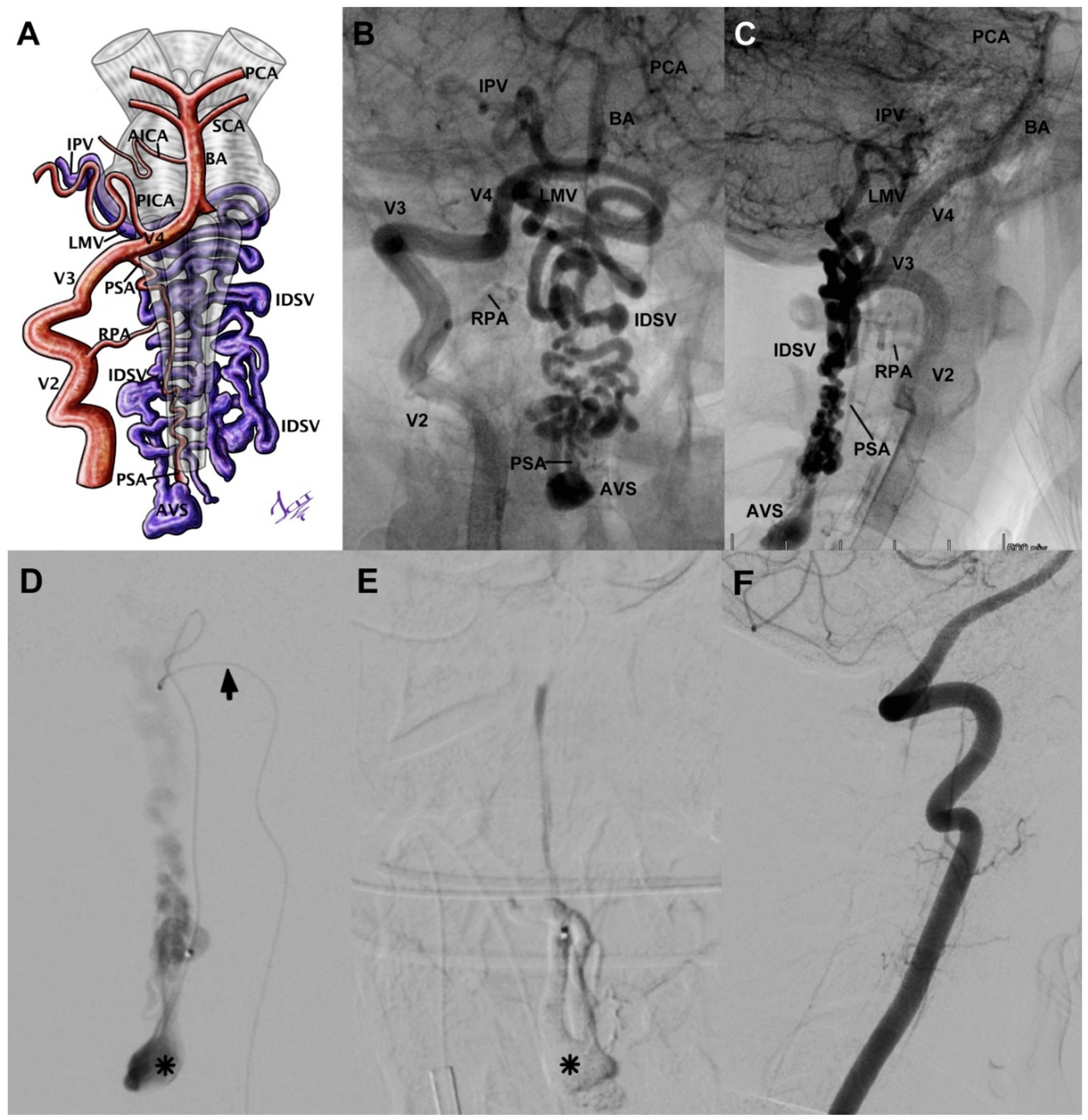 Neurolint 14 00047 g002
