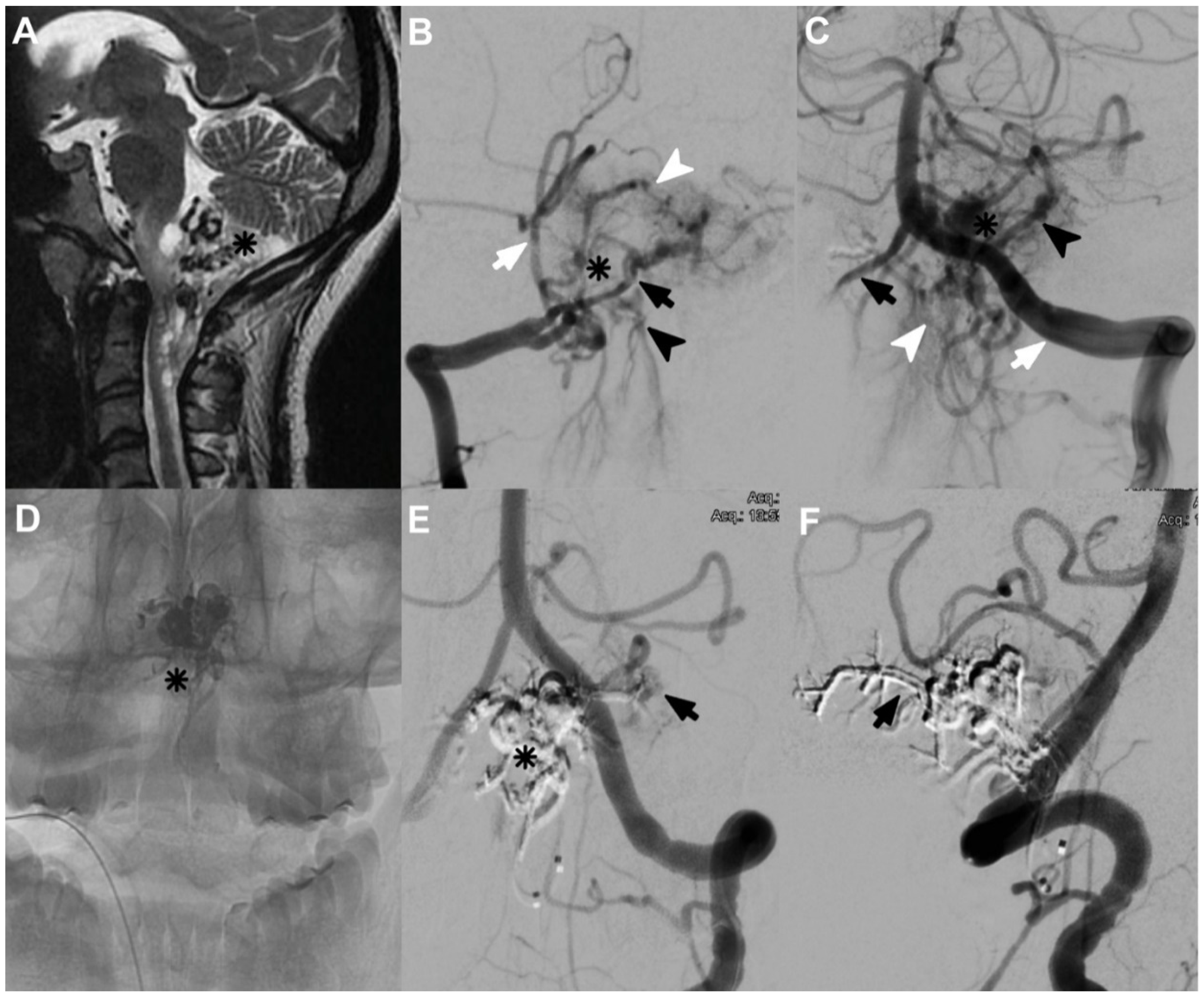 Neurolint 14 00047 g003