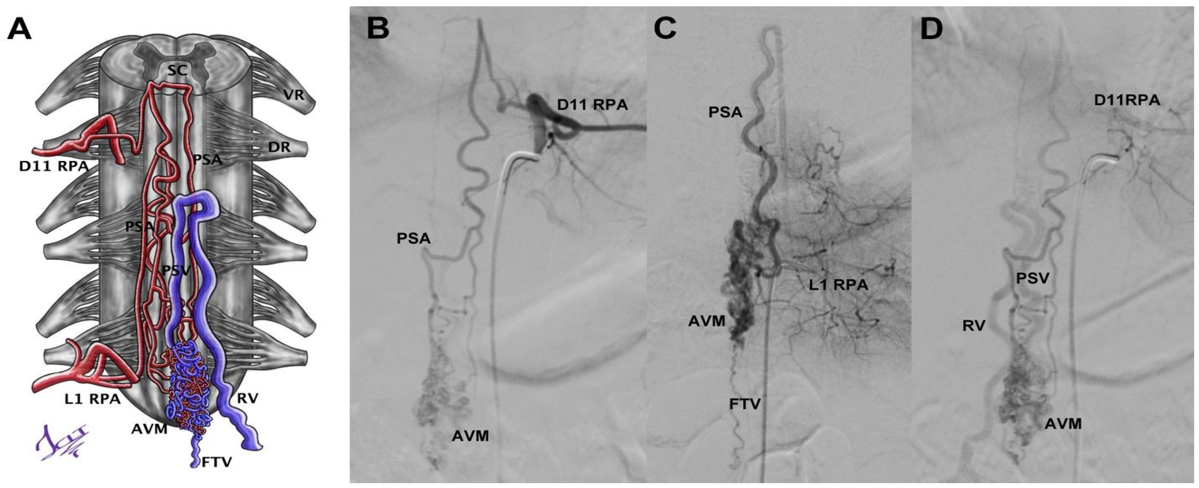 Neurolint 14 00047 g004