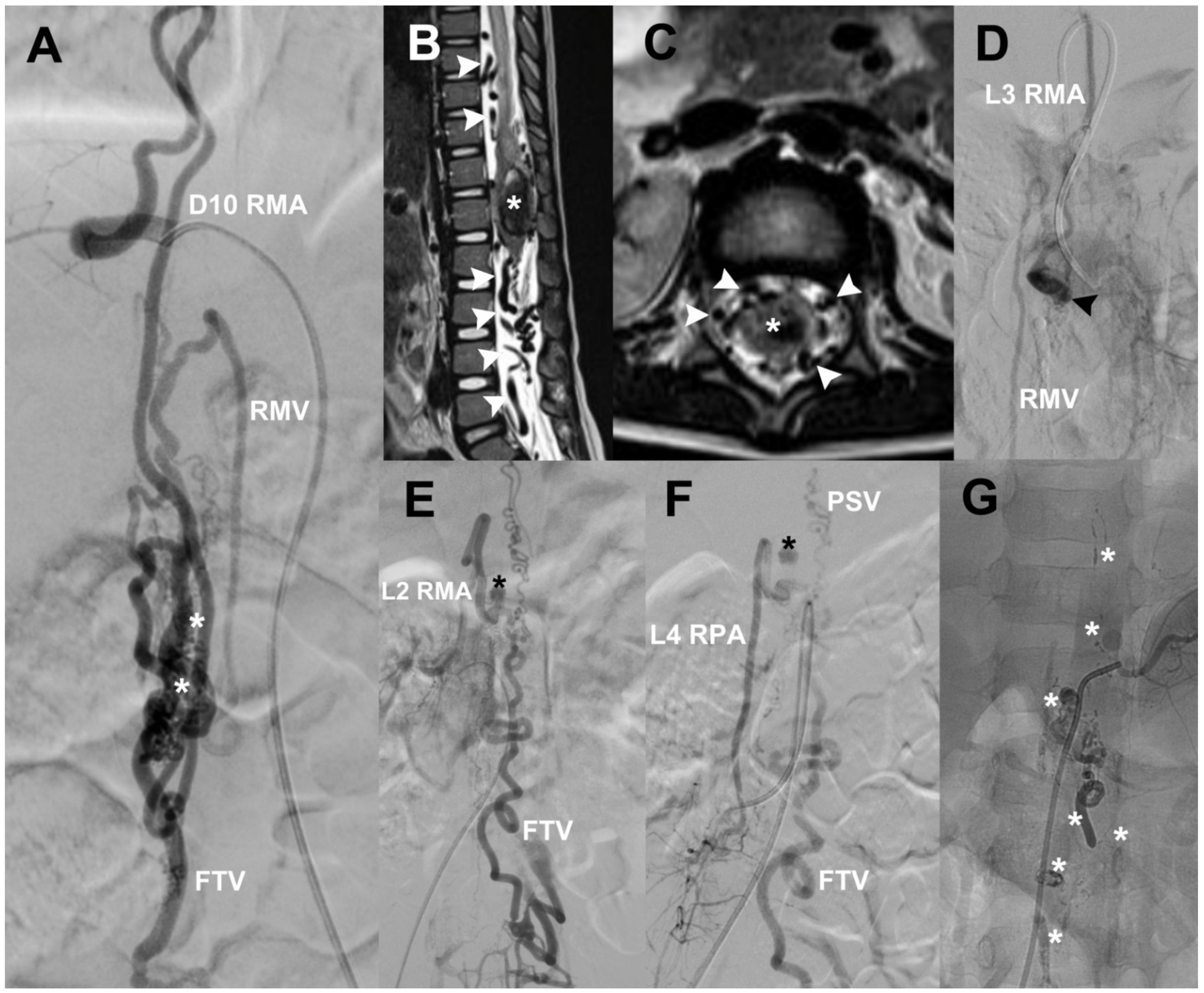 Neurolint 14 00047 g005