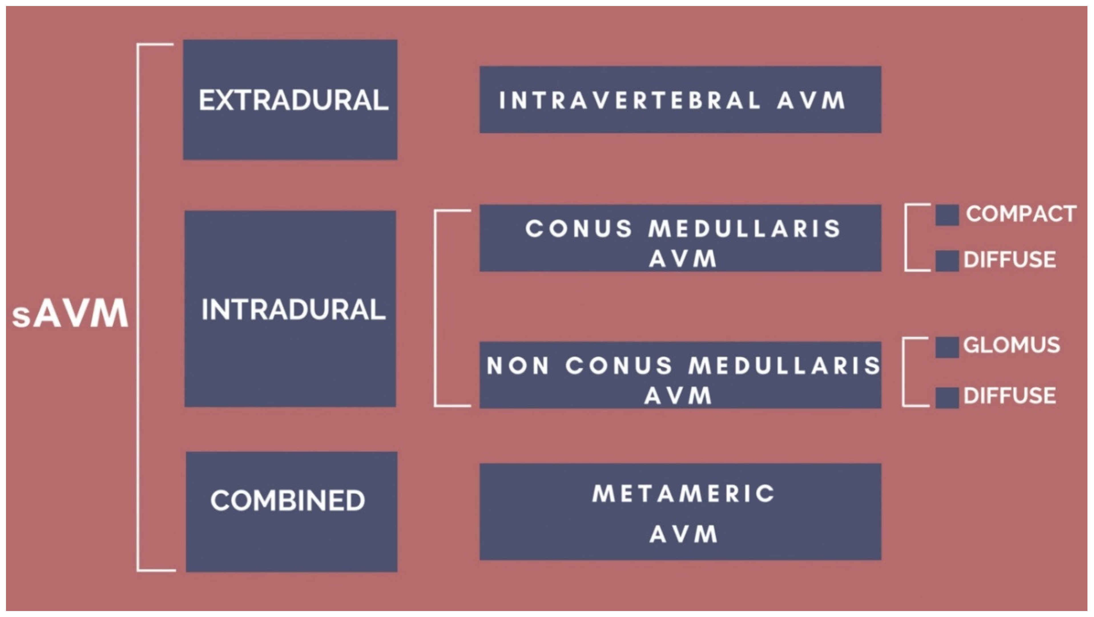 Neurolint 14 00047 g007