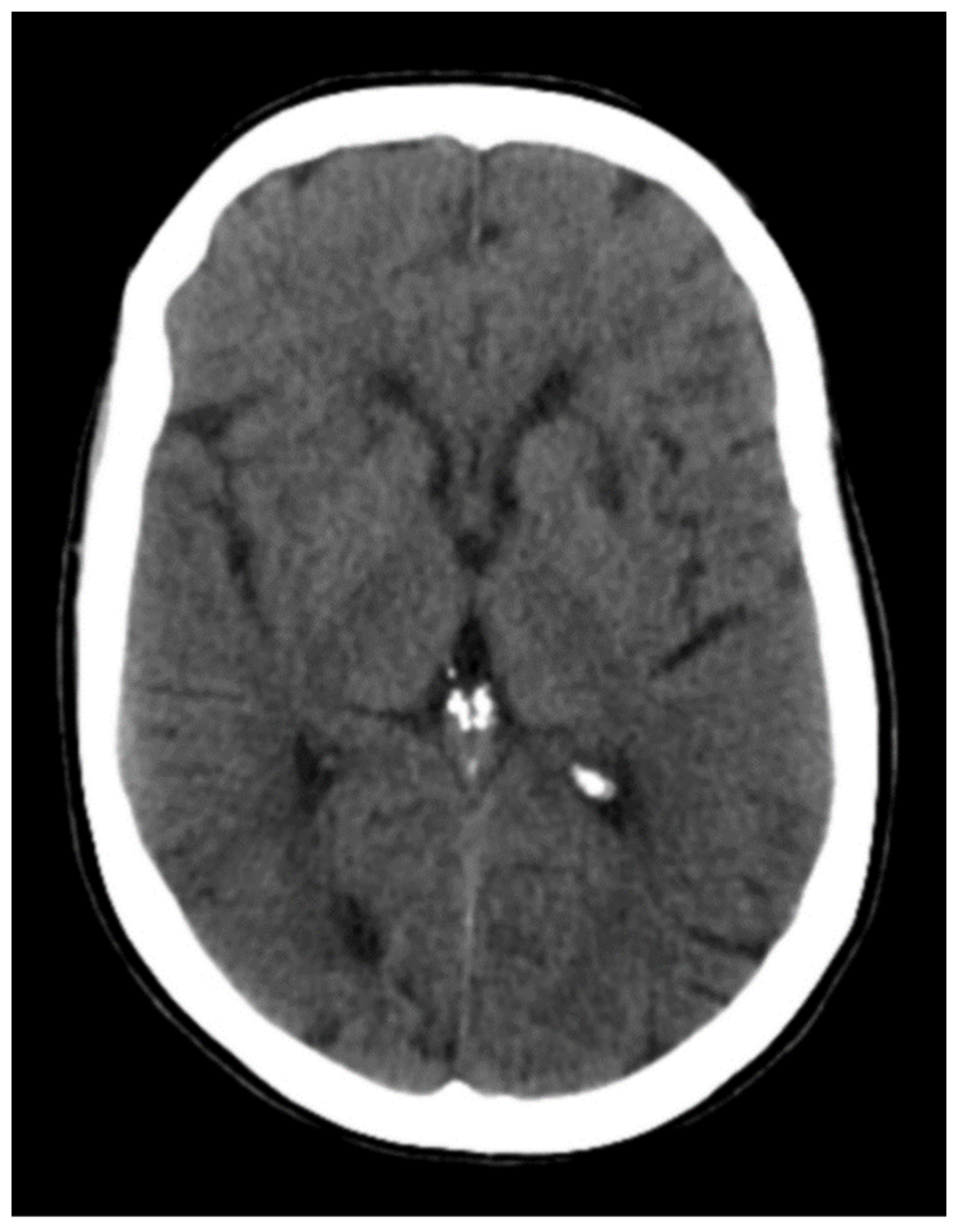 Neurolint 14 00049 g001