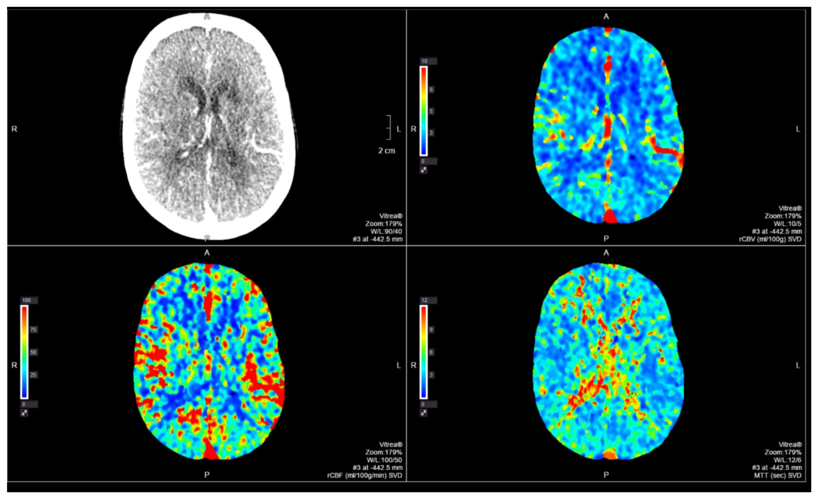 Neurolint 14 00049 g002