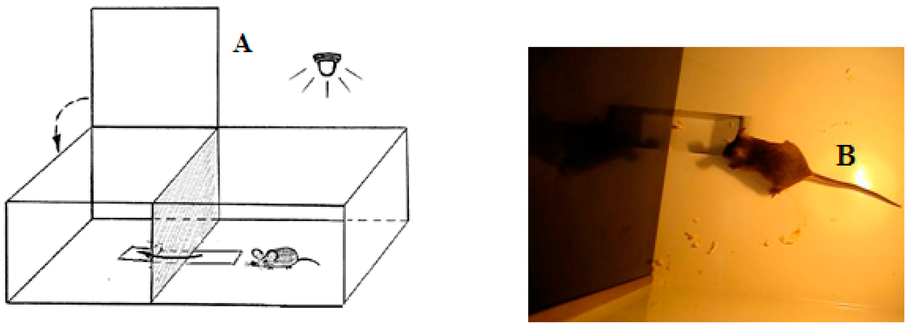 Neurolint 14 00058 g001