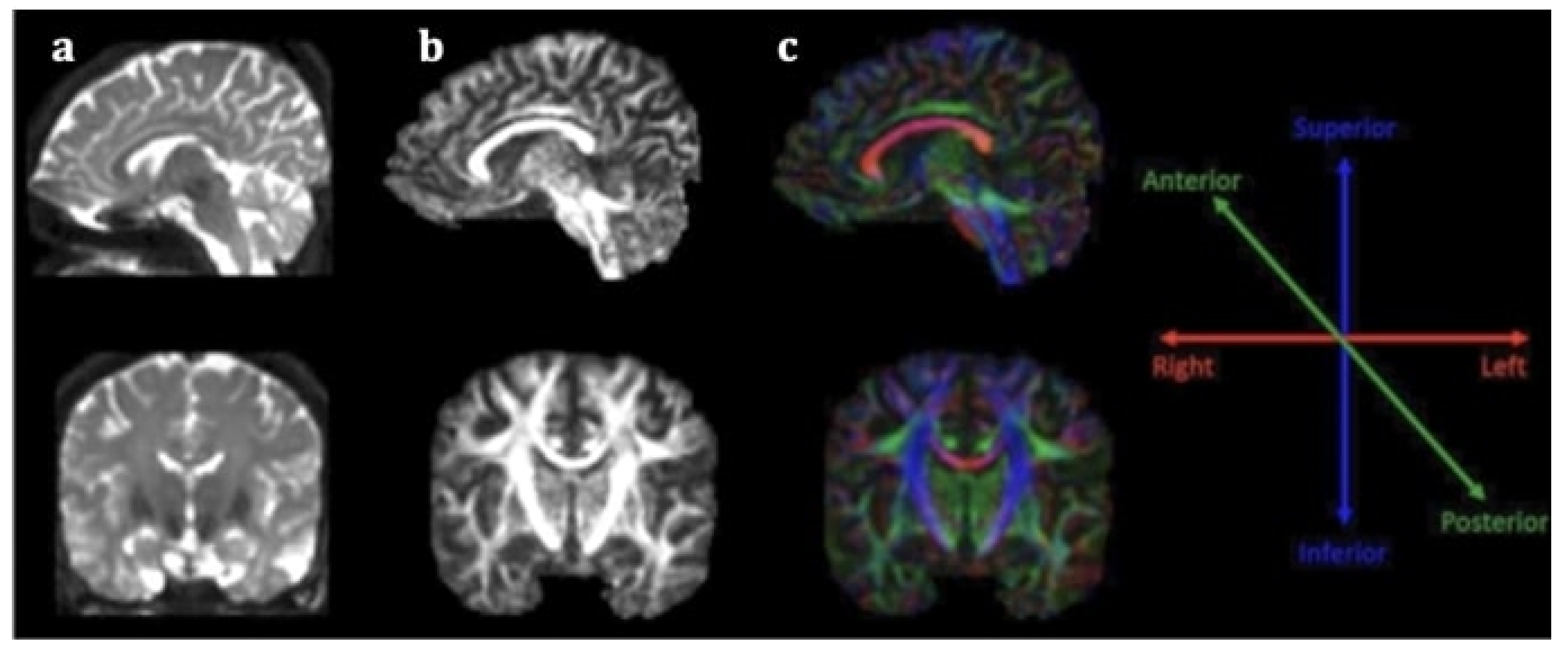 Neurolint 14 00069 g001