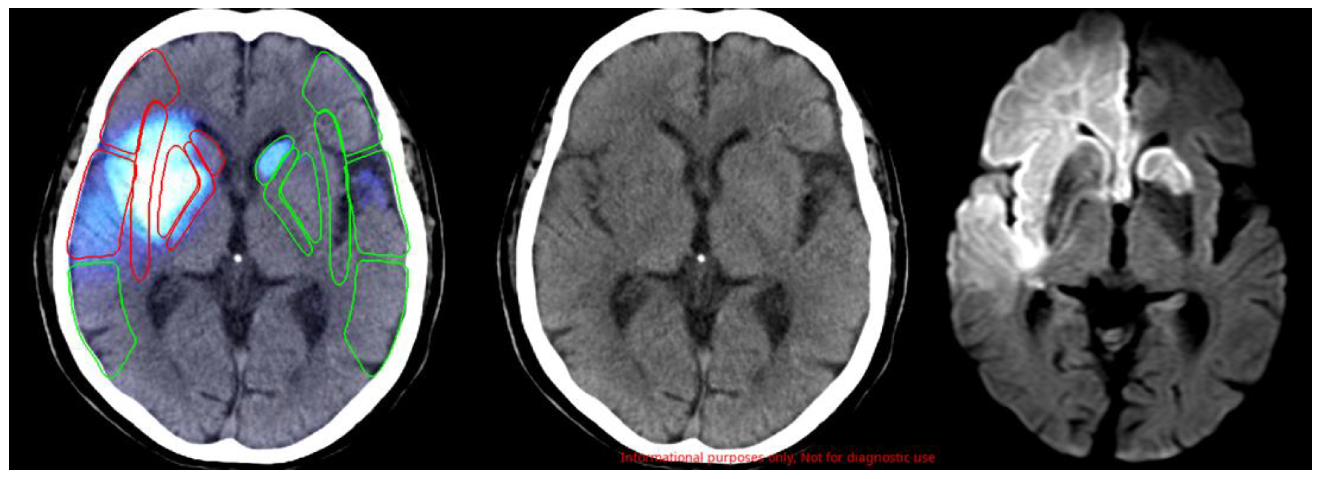 Neurolint 14 00077 g001