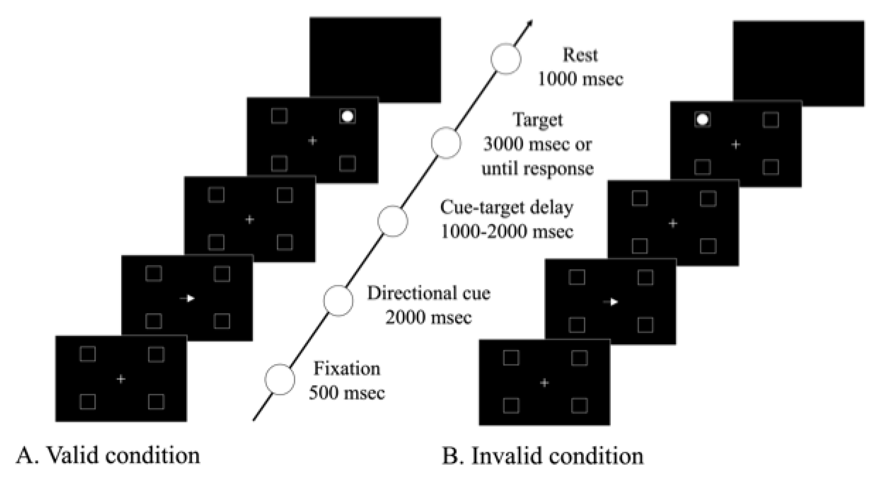 Neurolint 14 00083 g001