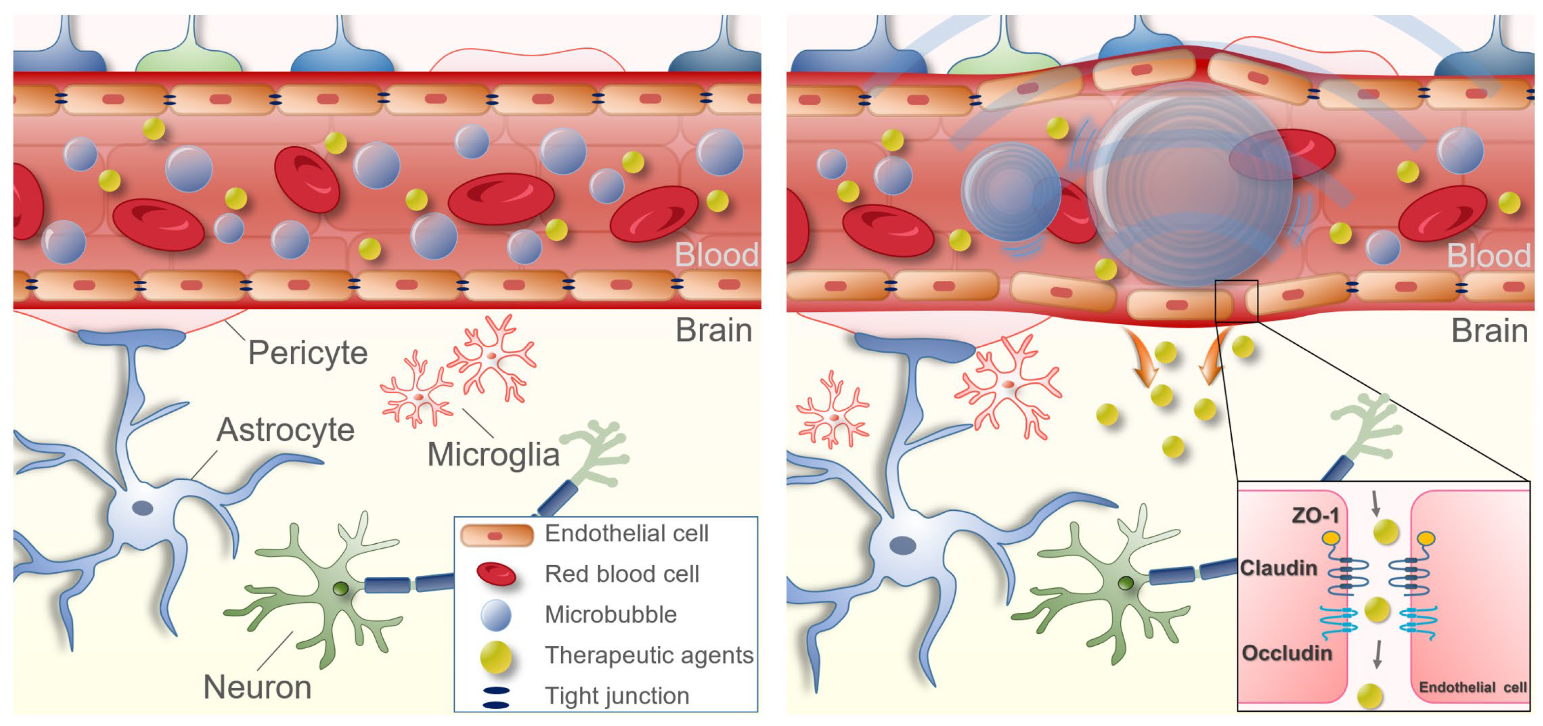 Neurolint 15 00018 g003 Neurolint 15 00018 g003