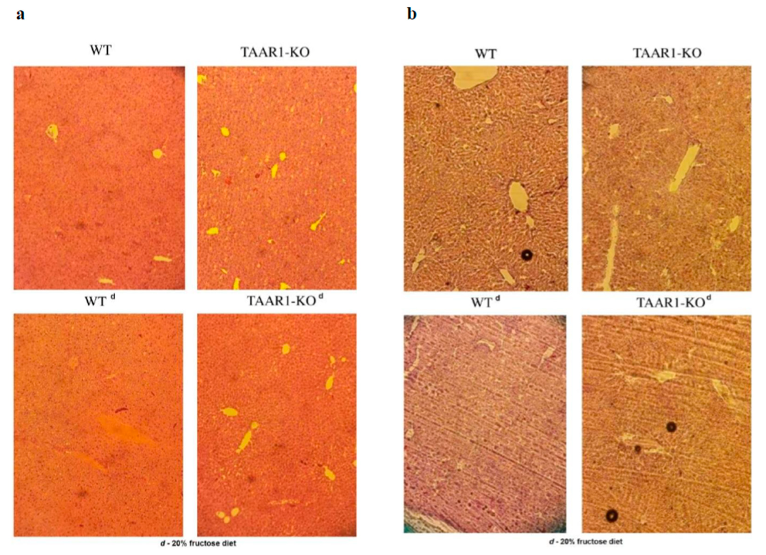 Neurolint 15 00022 g002