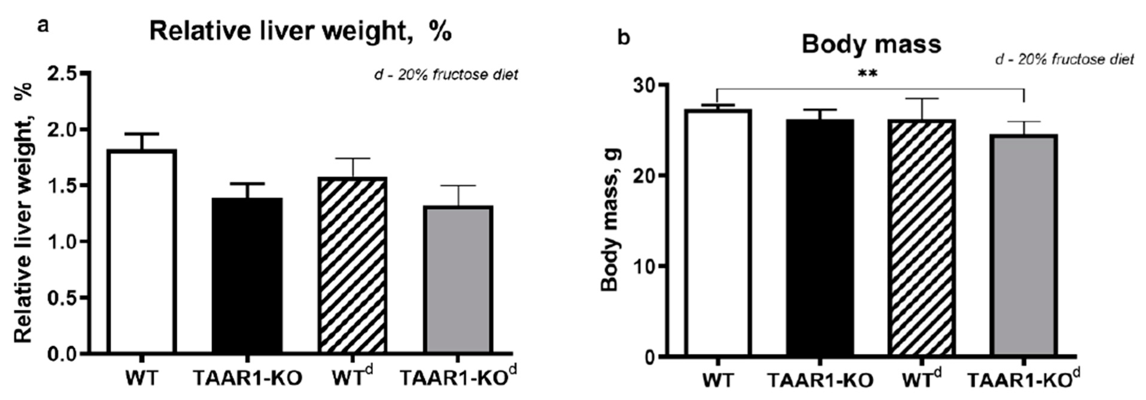 Neurolint 15 00022 g003