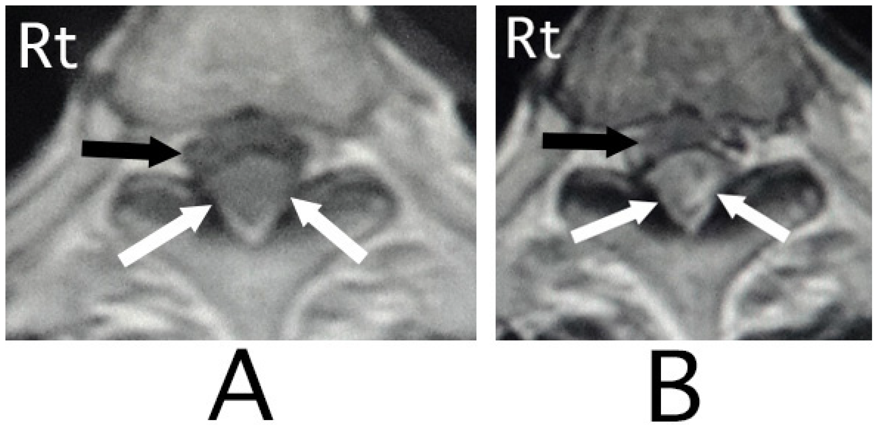 Neurolint 15 00024 g002