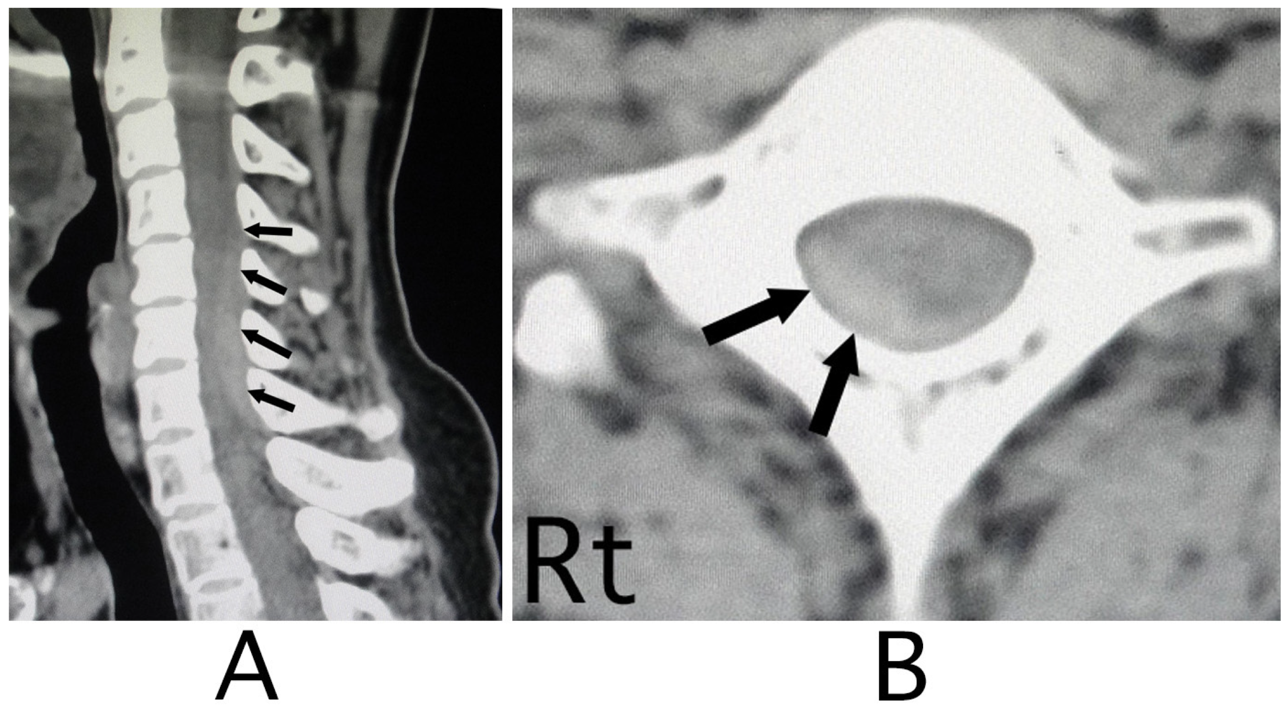 Neurolint 15 00024 g003