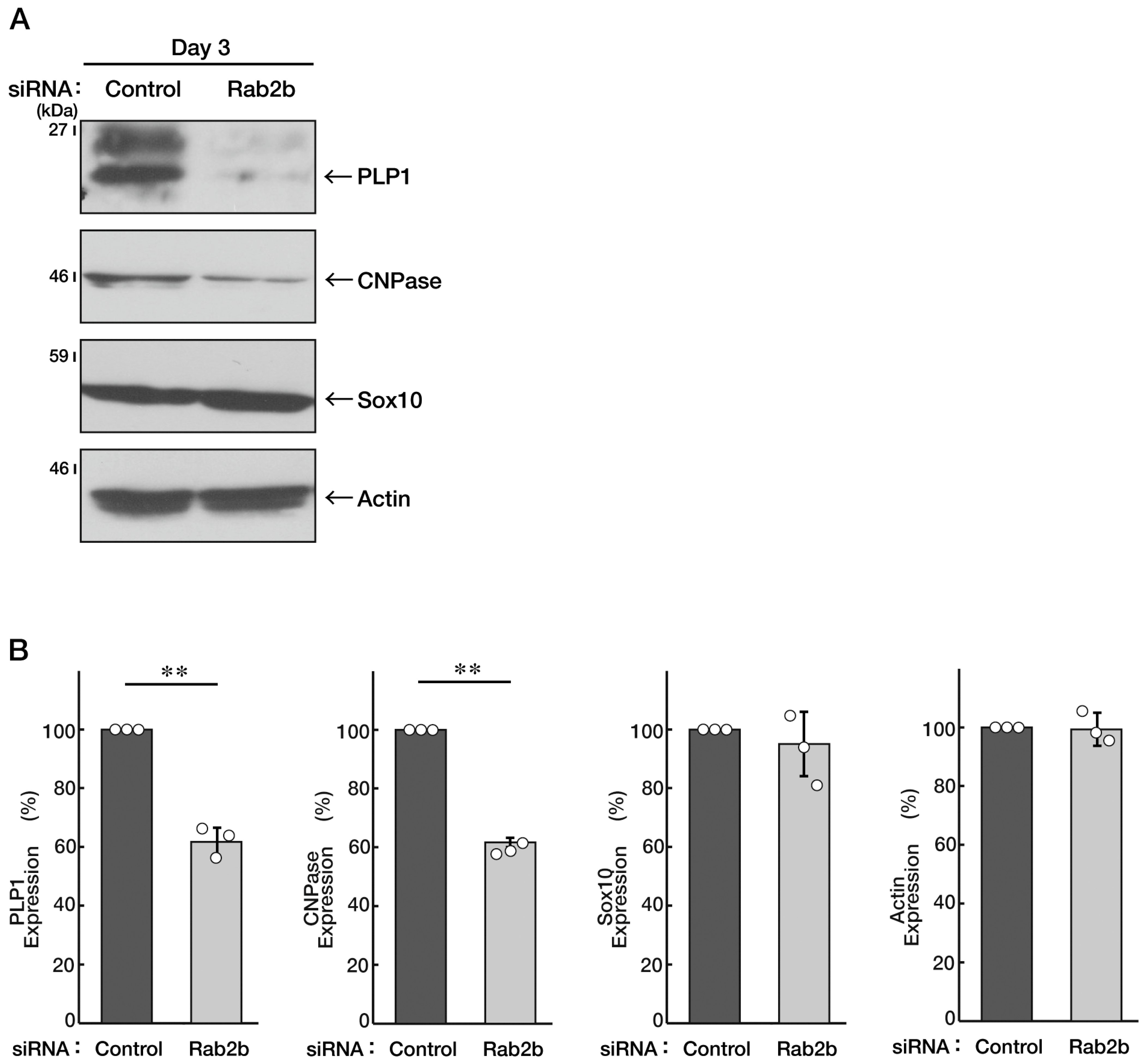 Neurolint 15 00025 g008 Neurolint 15 00025 g008