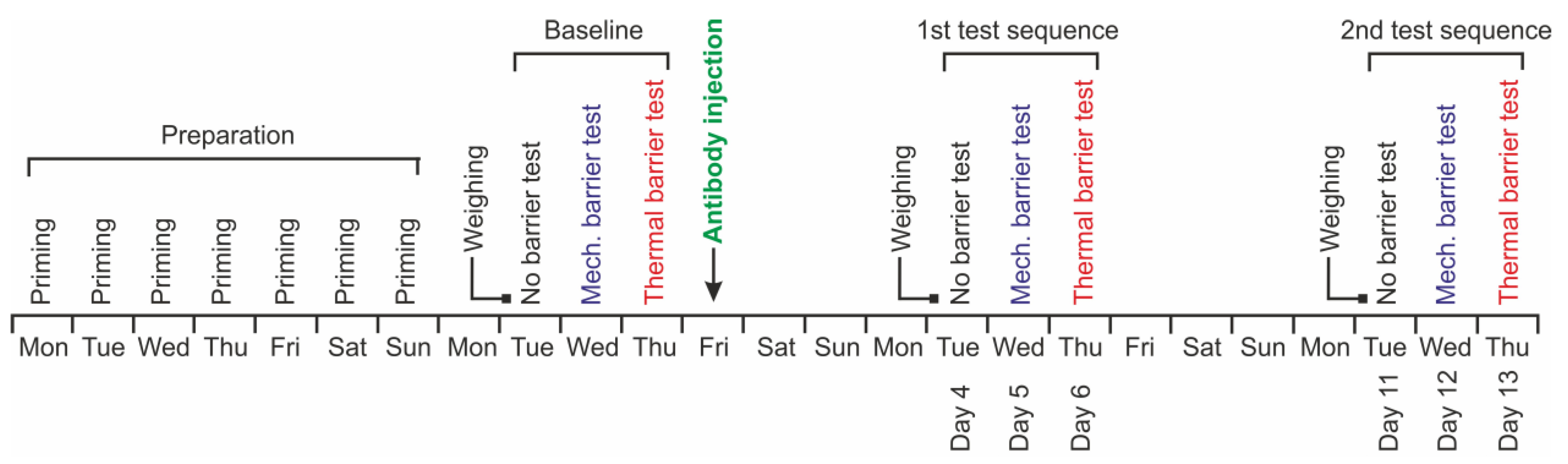 Neurolint 15 00039 g002