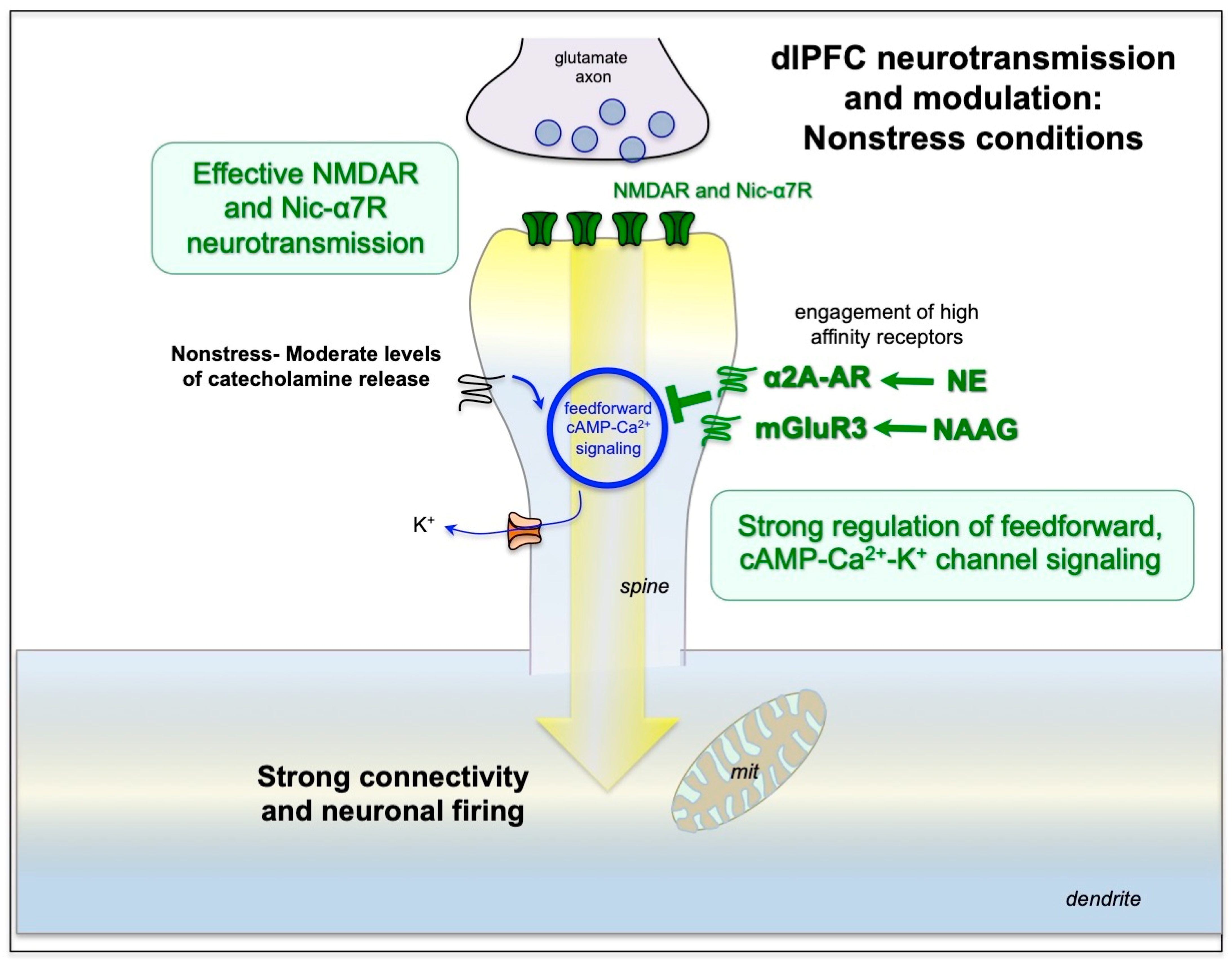 Neurolint 15 00045 g002