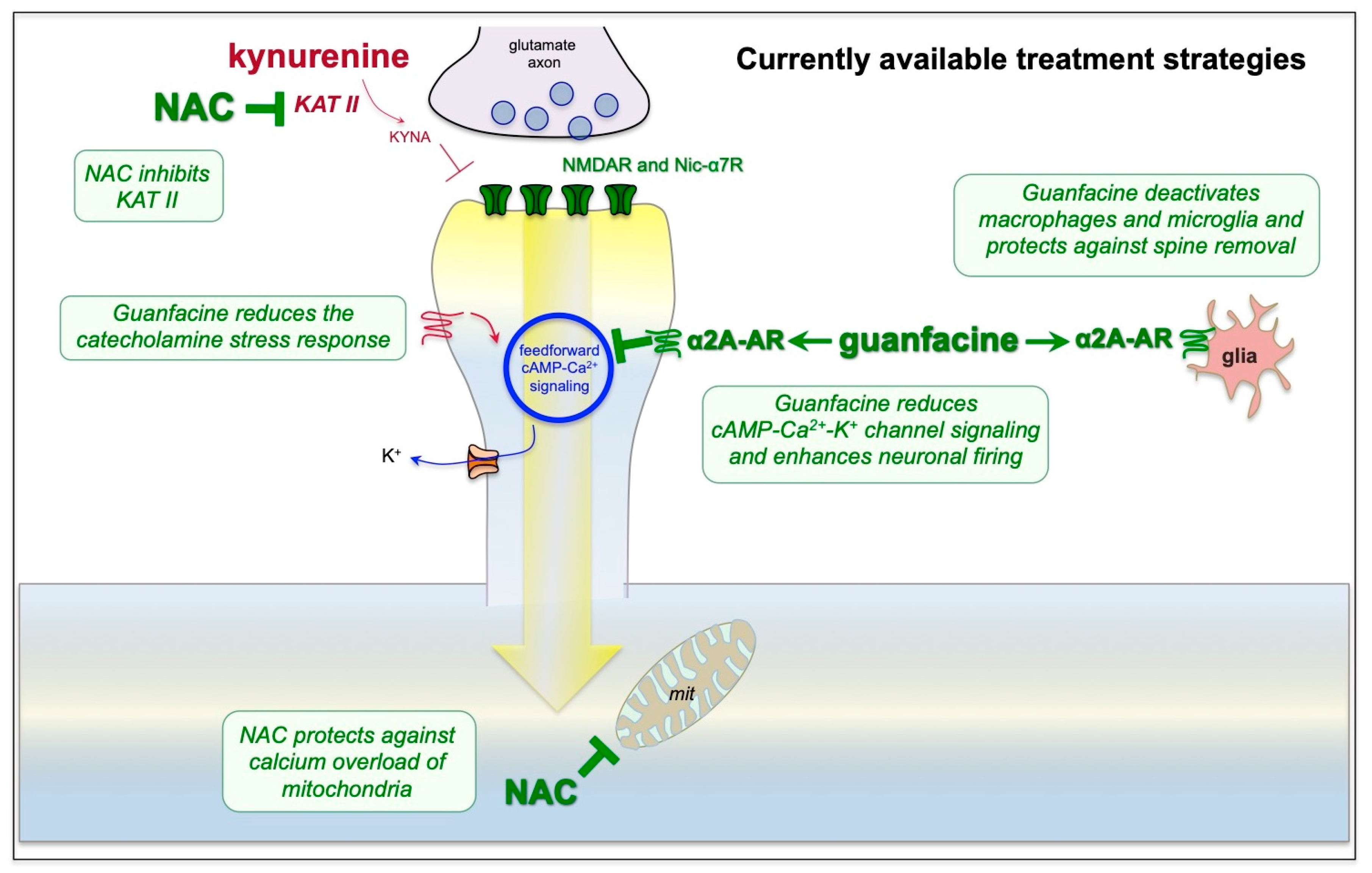 Neurolint 15 00045 g005