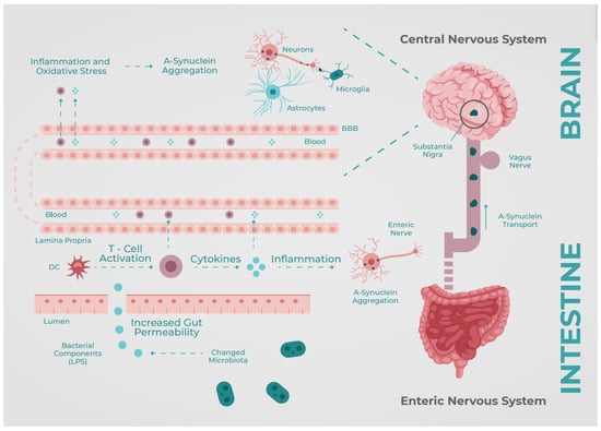 Neurolint 15 00047 g001