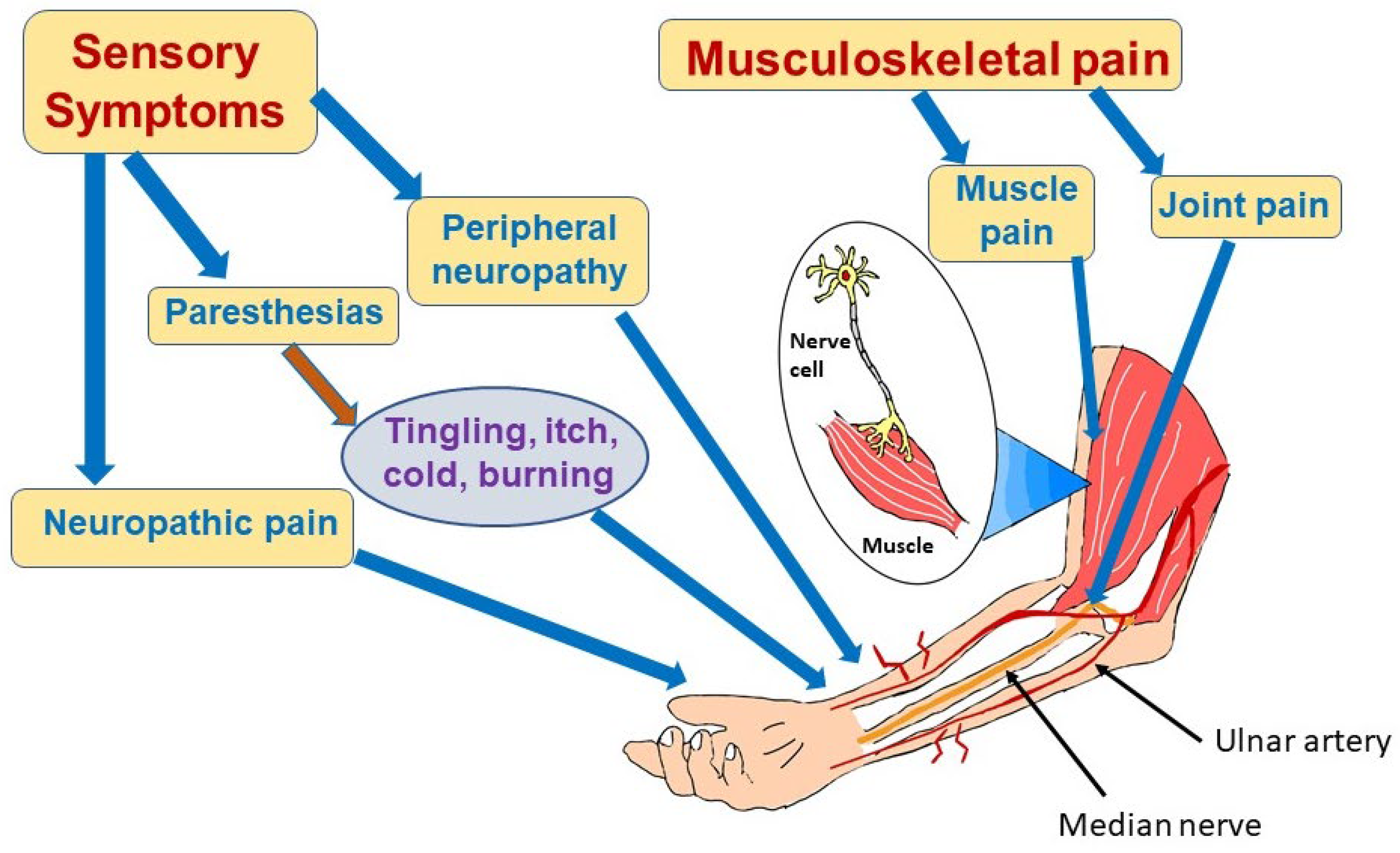 Neurolint 15 00052 g002