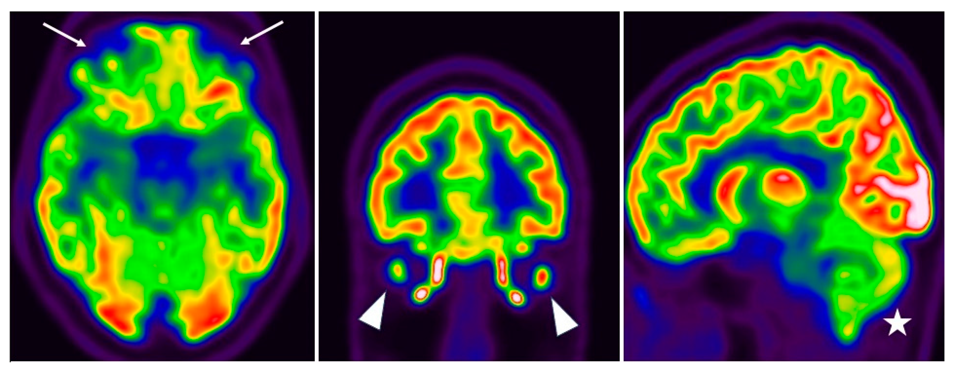 Neurolint 15 00058 g002