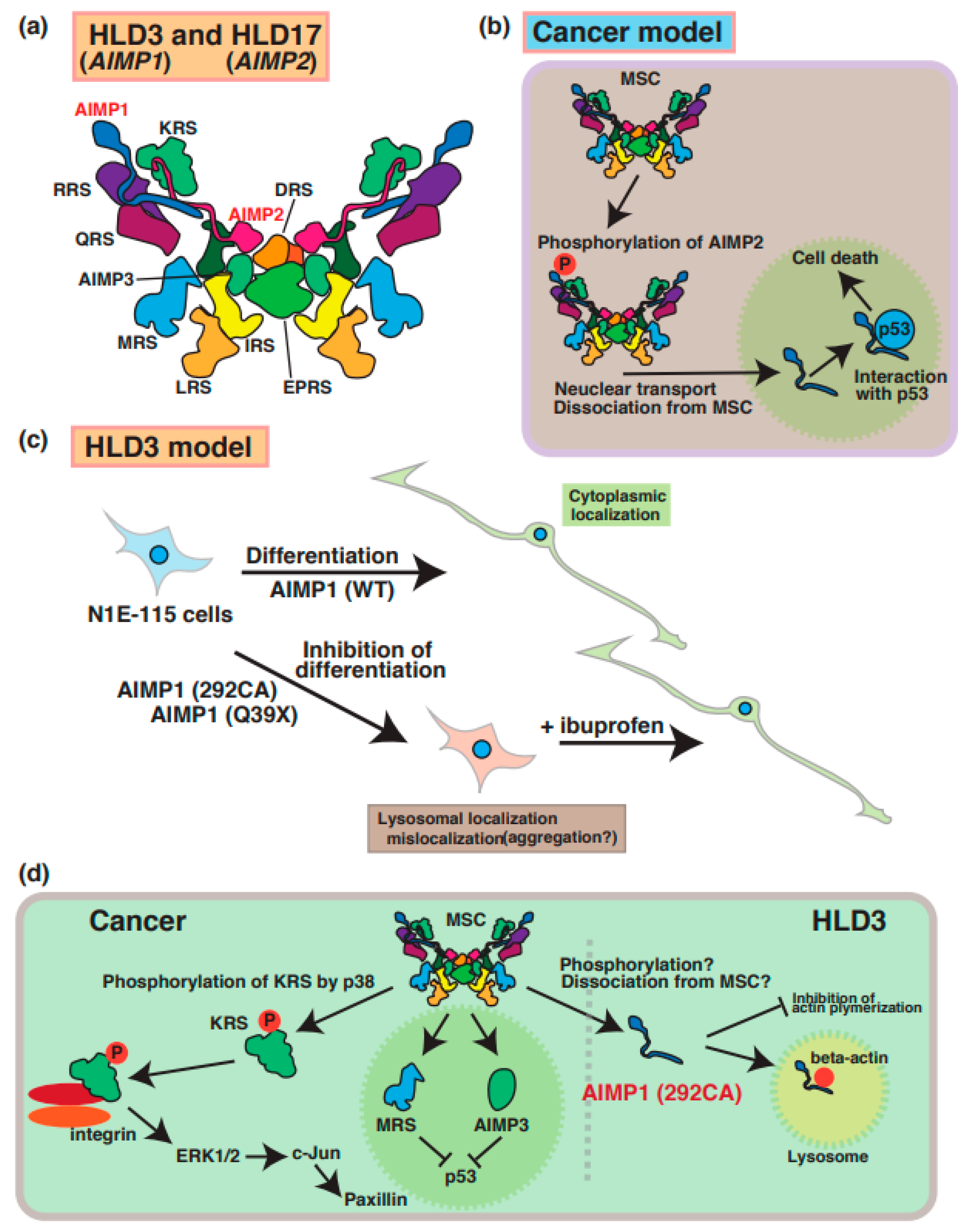 Neurolint 15 00072 g003