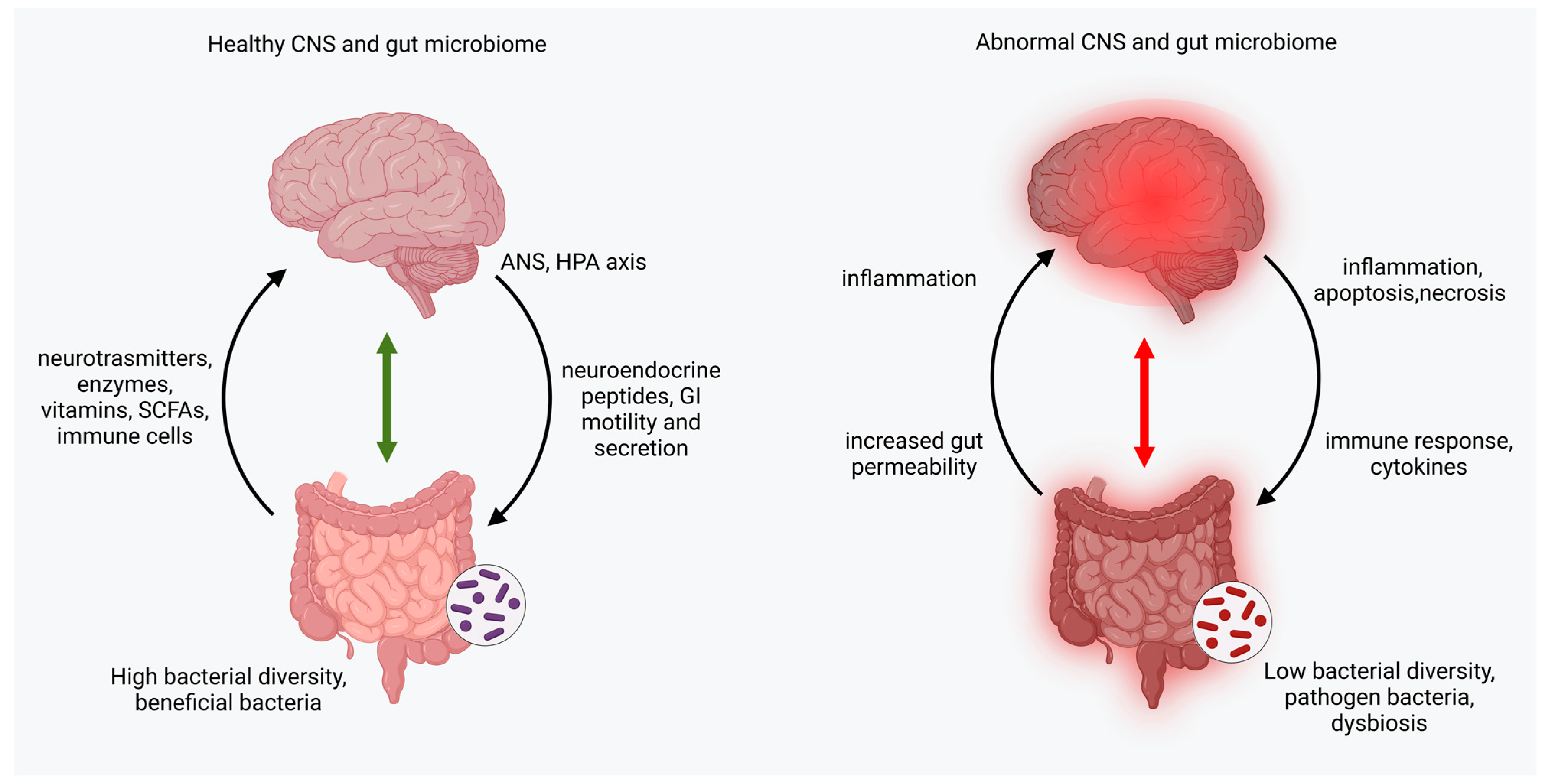 Neurolint 15 00073 g002 Neurolint 15 00073 g002