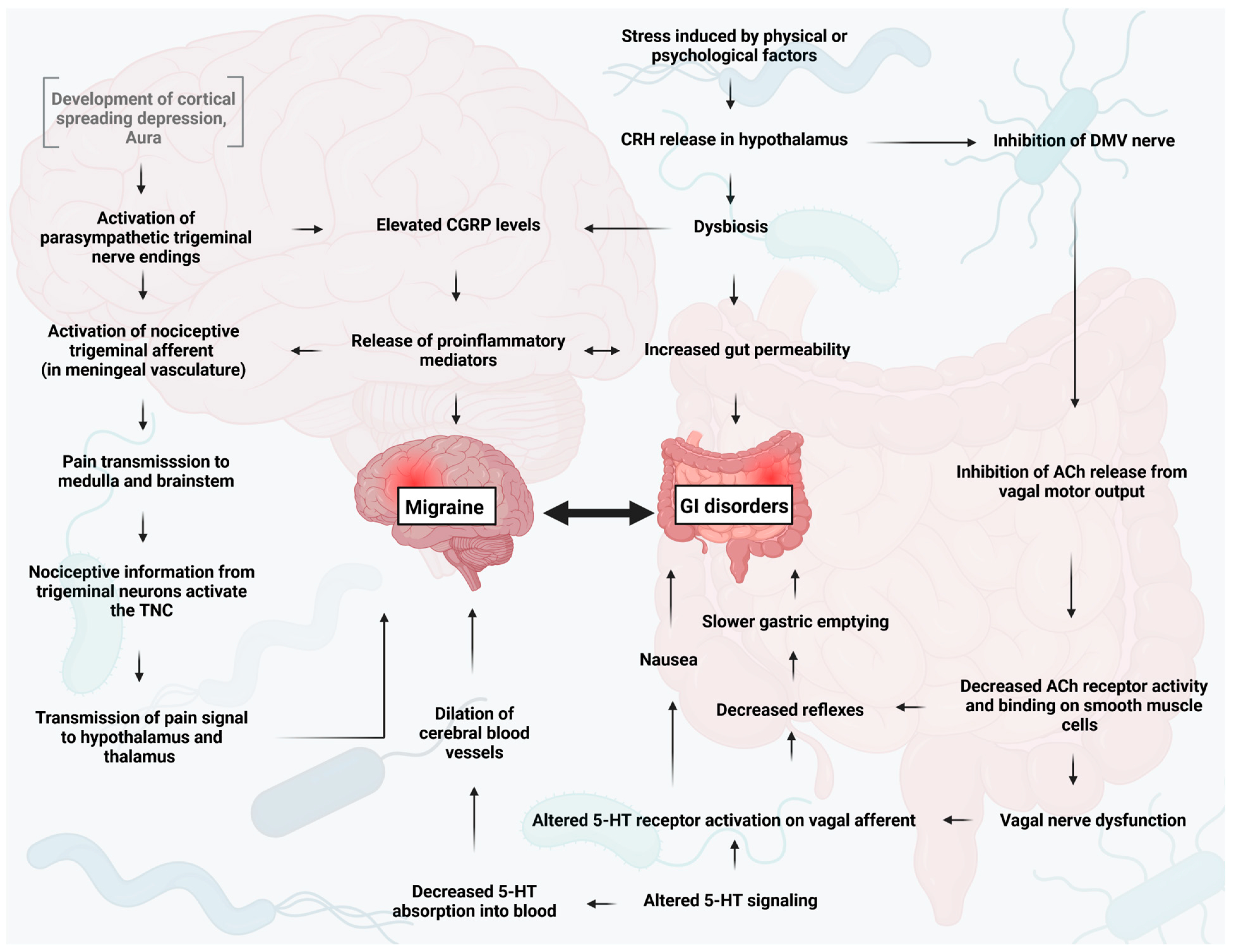 Neurolint 15 00073 g003 Neurolint 15 00073 g003