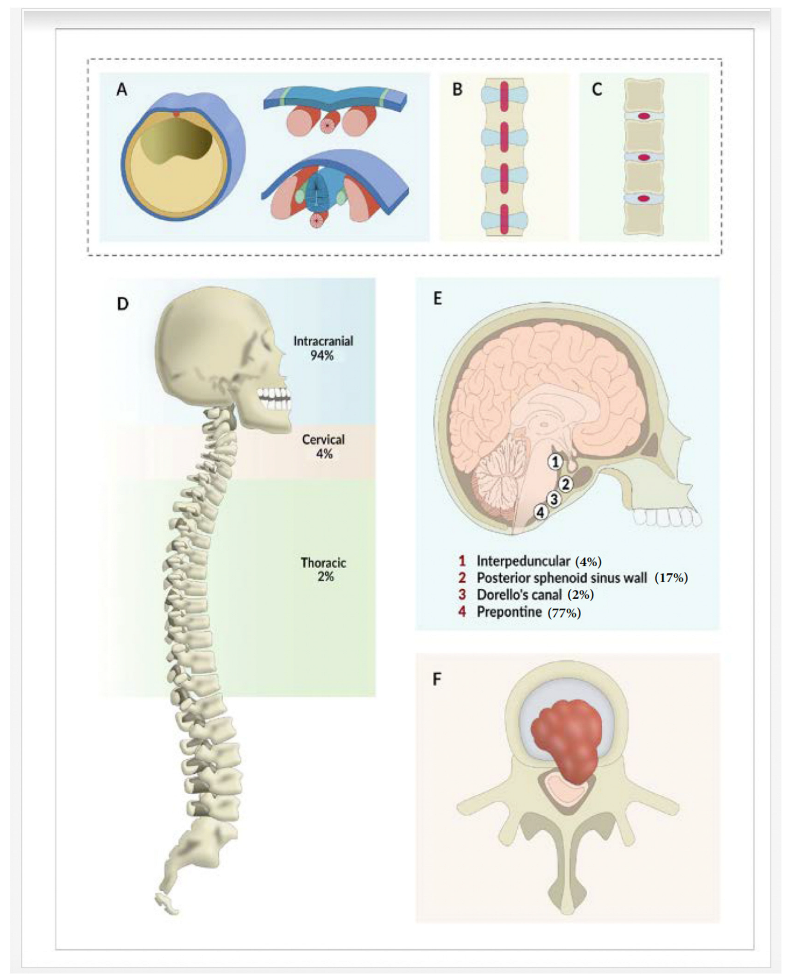 Neurolint 15 00075 g001 Neurolint 15 00075 g001