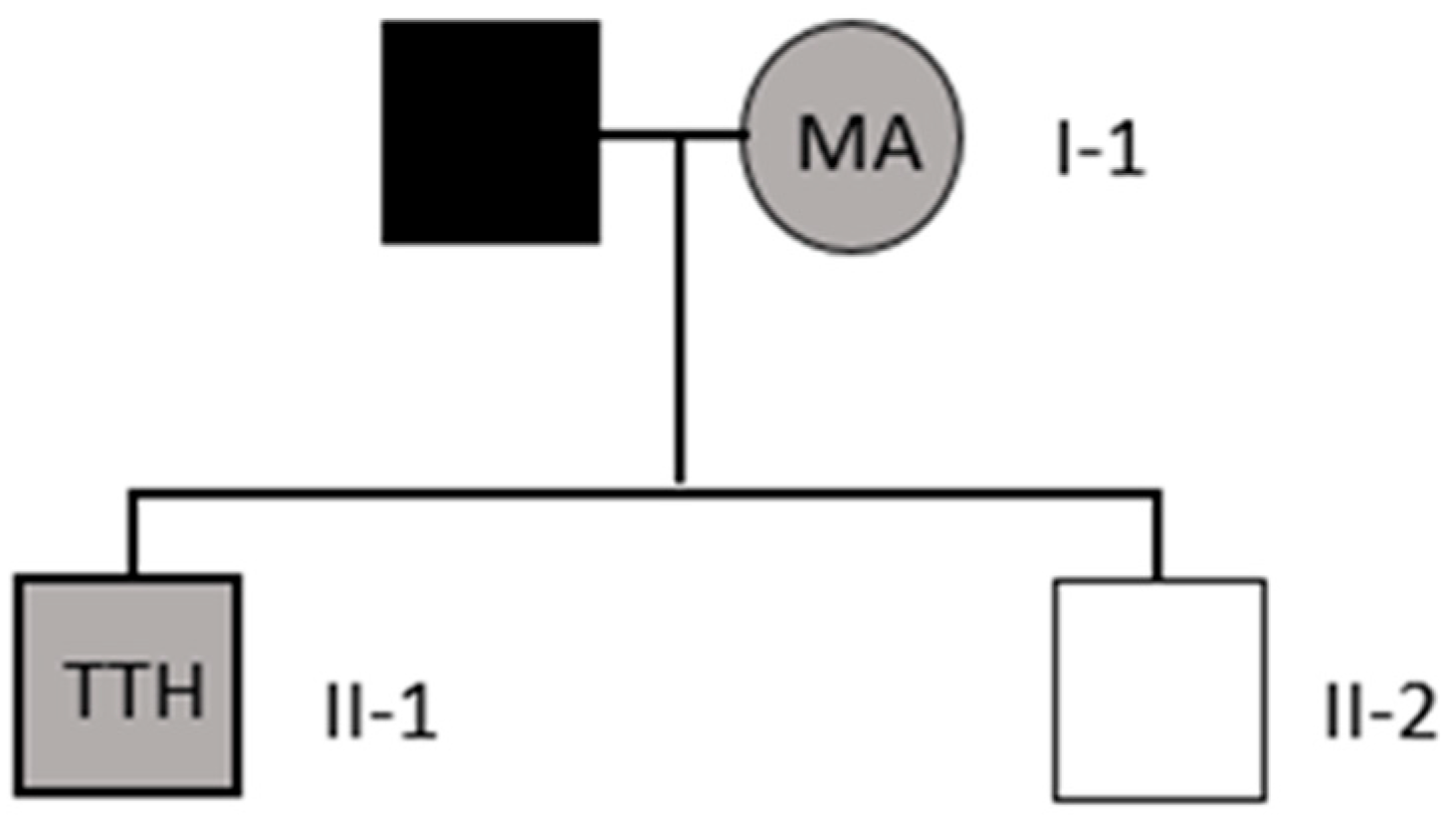 Neurolint 15 00078 g002